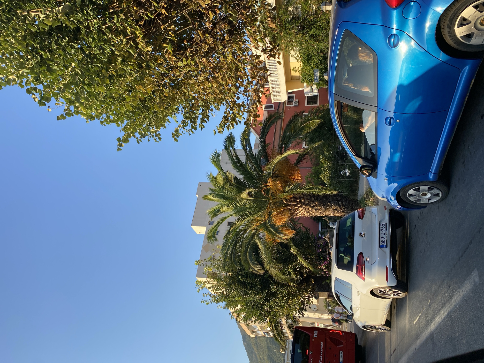 This is a daylight, eye-level shot of a street scene in Bar, Montenegro. The foreground is dominated by the right side of a bright blue compact car, with its passenger window visible. A person's arm is resting on the window ledge. To the left of the blue car is a white hatchback car, facing away from the camera. The white car has a license plate reading "089-J-765". Behind the white car, a red bus is partially visible. In the background, there are several buildings of varying heights and colors, including a prominent white multi-story building and a red building. Palm trees and other lush green foliage are scattered throughout the scene, with the clear blue sky above. The sun appears to be low in the sky, casting long shadows.
