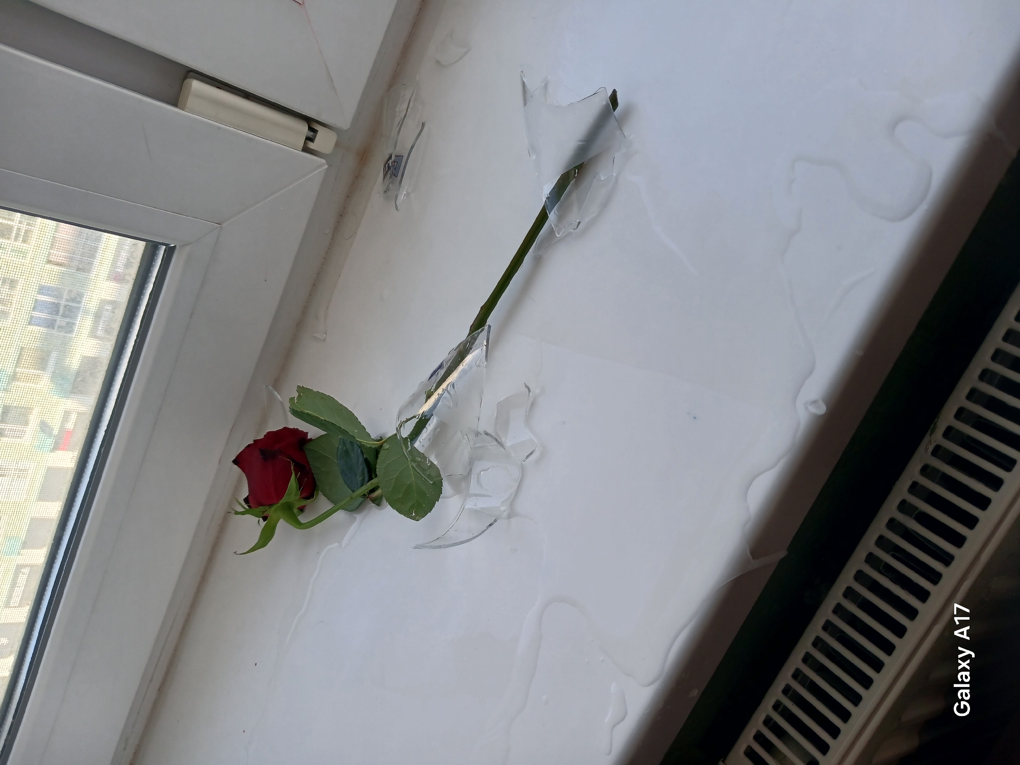 The image shows a single red rose lying on a white surface amid shards of broken glass and spilled water. The stem of the rose is partially embedded in the glass fragments. The setting appears to be indoors, near a white window frame and a radiator or other ventilation unit. The location is specified as Yekaterinburg, Russia. No people are visible.