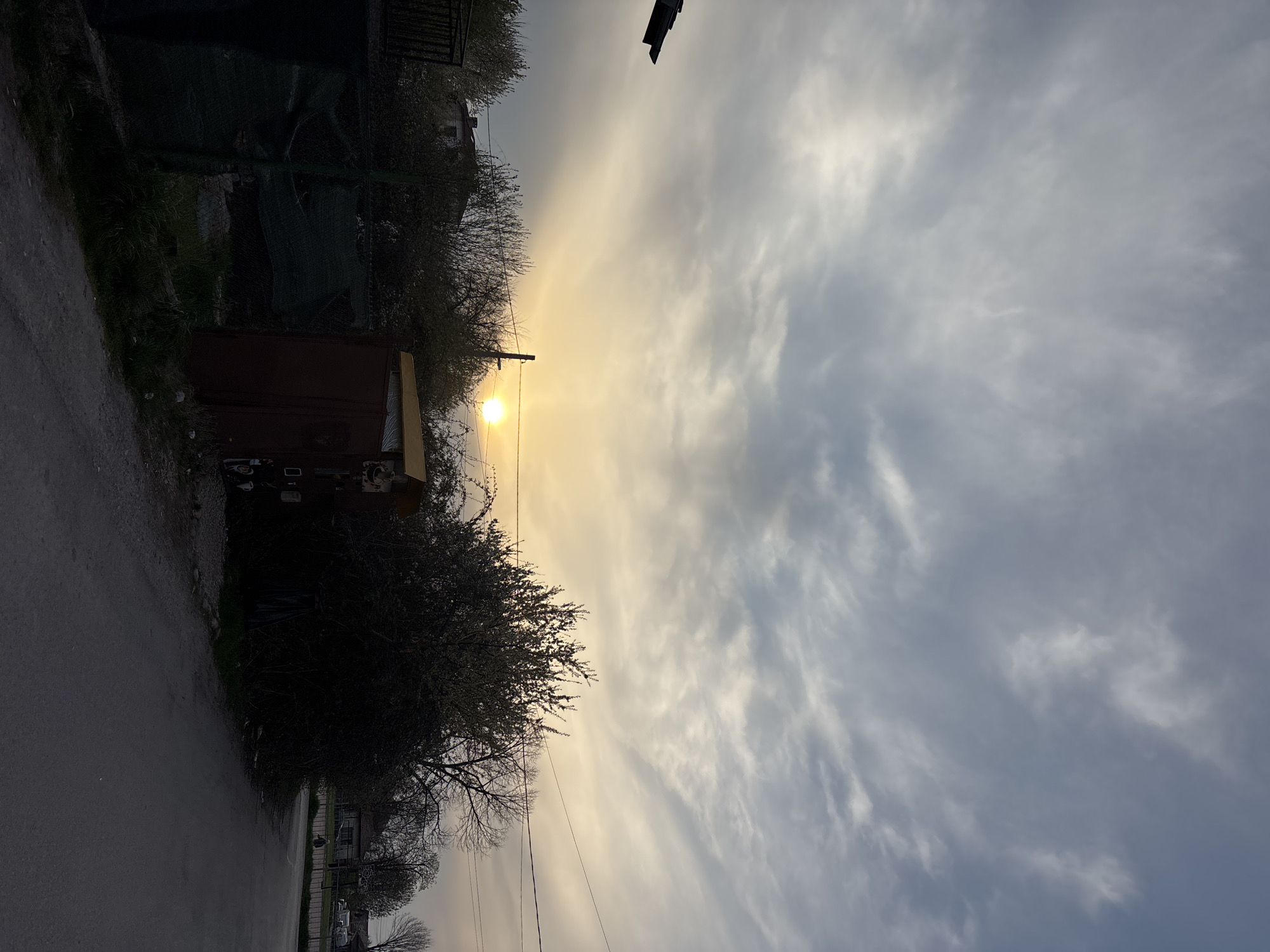 The photograph depicts an outdoor scene in Sofia, Bulgaria, taken at ground level. The image is oriented vertically, with the sky occupying the upper portion and a street and adjacent buildings on the left side.
The sky is predominantly overcast with a mix of light and dark clouds, indicating a possibly stormy or unsettled weather condition. A bright spot, presumably the sun, is partially obscured by the clouds, casting a golden glow on the surrounding sky.
On the left side of the image, a narrow asphalt street stretches into the distance. Adjacent to the street, there are buildings and structures, including a dark-colored, possibly metal or wooden shed or garage. The surrounding area is overgrown with trees and bushes, their branches silhouetted against the sky. Utility poles and wires are also visible, traversing the scene horizontally. The scene seems to be on the periphery of the city or in a rural area. No people are visible.