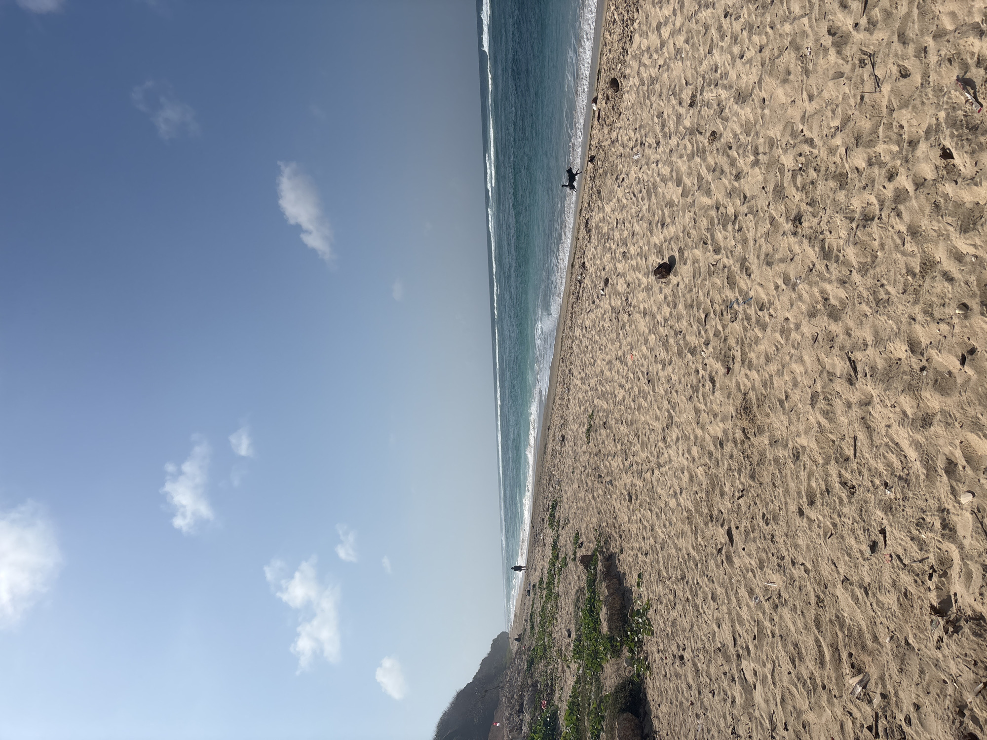 A wide shot of a beach in Kuta Selatan, Indonesia. The sand is light brown and textured, with some scattered debris such as coconut husks and small pieces of wood. Green vegetation grows along the edge of the beach, bordering a rocky incline on the left. The ocean is a vibrant turquoise and blue, with white waves breaking along the shore. The sky is a clear, light blue with a few scattered white clouds. In the distance, a lone figure walks along the shoreline. Closer to the foreground, a black dog runs along the edge of the water. The scene is illuminated by bright daylight.