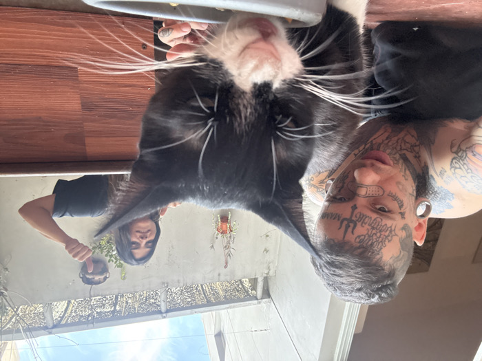 A selfie shows a tattooed man holding a black and white cat close to the camera. The cat is looking up at a bowl above it. Another person is reflected in a shiny surface with a thumbs-up gesture. Plants hang in the background against a light blue sky. The image is rotated to the side, with the wooden floor appearing on the top left.