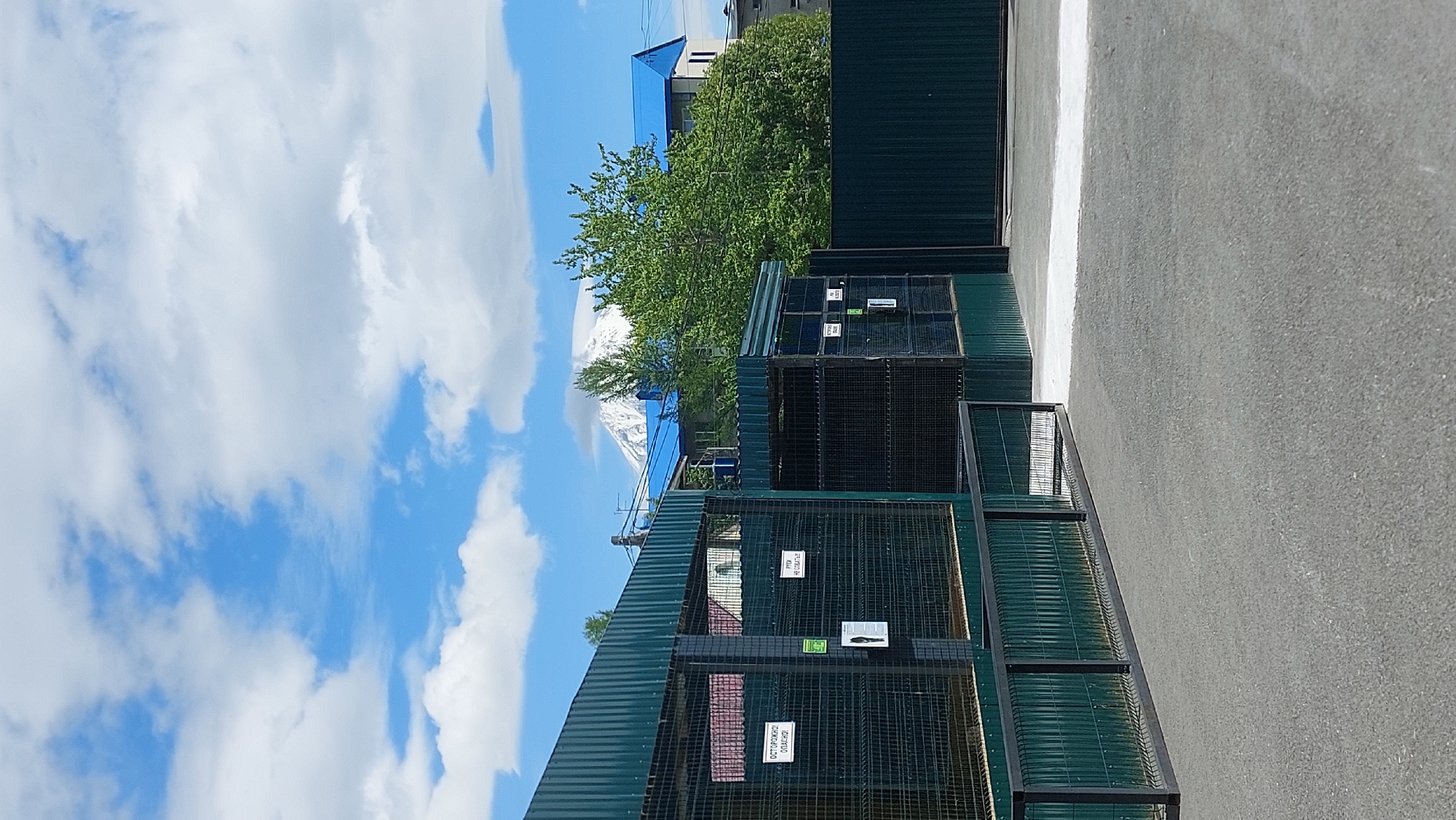 The image shows an outdoor enclosure area, likely for animals, in Yelizovo, Russia. The enclosure is constructed with dark green corrugated metal roofing and fencing made of dark green metal frames with wire mesh. Several white signs are attached to the fencing. One sign is visible on the left, stating "ОСТОРОЖНО! ОПАСНО!" which translates to "CAUTION! DANGEROUS!". Another sign further to the right reads "РУКИ НЕ СУВАТЬ!" which translates to "DO NOT PUT HANDS IN!". The ground in front of the enclosure is paved with asphalt. In the background, there are buildings with blue roofs and lush green trees. Beyond the buildings, a snow-capped mountain peak with a cloud formation around it is visible against a bright blue sky dotted with white clouds. The scene appears to be a sunny day.