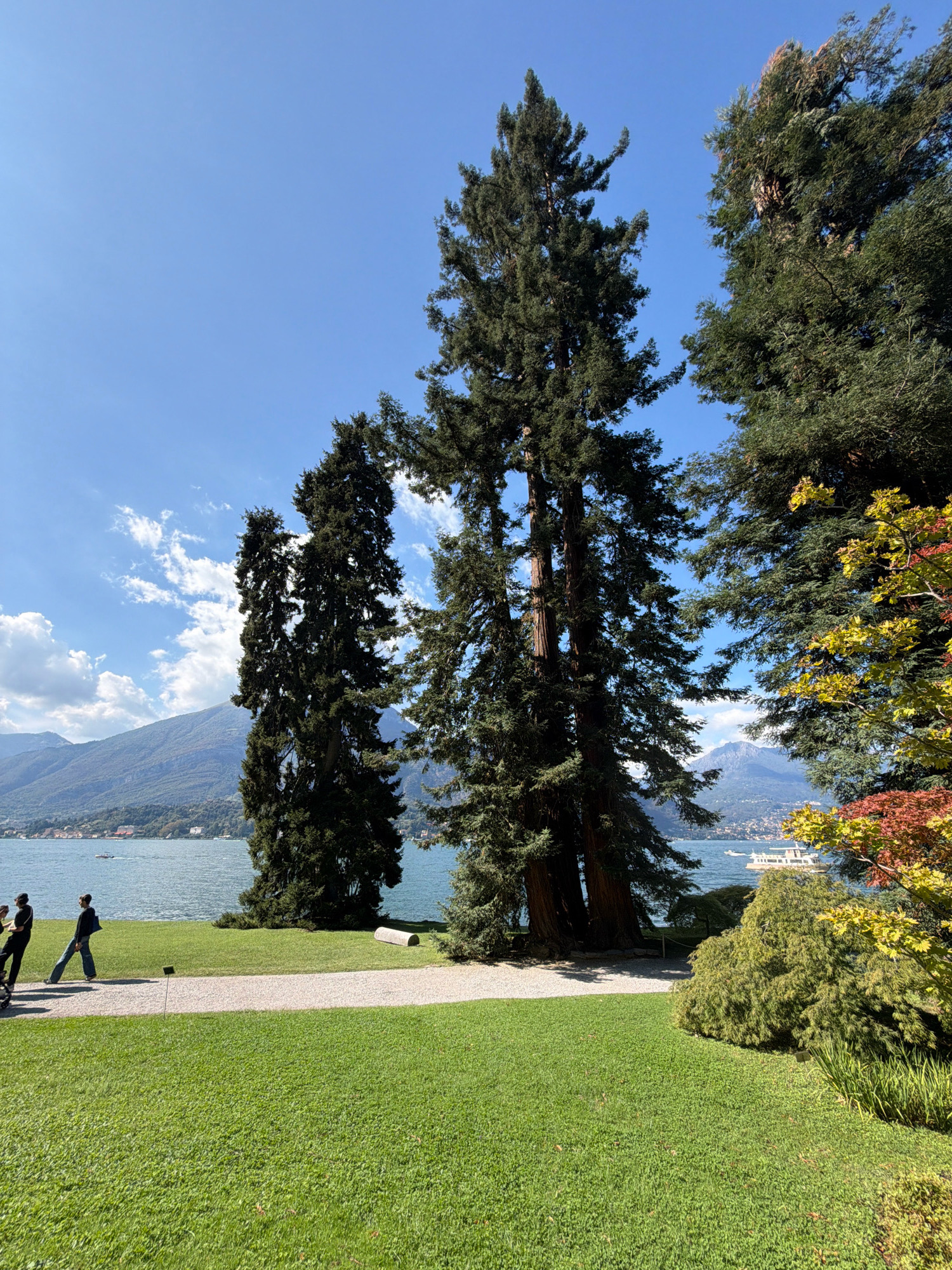 This is a full-frame, outdoor, eye-level, horizontal photograph of a park area with a lake and mountains in the background. The sky is blue with scattered white clouds. In the foreground, there is a lush green lawn. A gravel path runs across the middle ground, bordered by the lawn on the right and a darker gravel area on the left. Two people are walking on the path from left to right; one is wearing dark clothing and a backpack, and the other is wearing a black top and jeans. To the left of the path, there are two tall, dark green coniferous trees. In the center of the image, there is a very tall, thick coniferous tree. To the right of the path, there are more trees, including one with yellow and red foliage, and a dense, rounded evergreen shrub. Beyond the path and the trees is a large body of blue water, a lake, with a small boat visible on it. In the distance, there are rolling, tree-covered mountains. The overall impression is of a scenic park on a clear, sunny day. The location is likely in the region of San Giovanni, Italy, given the landscape and architectural hints of the distant shoreline.