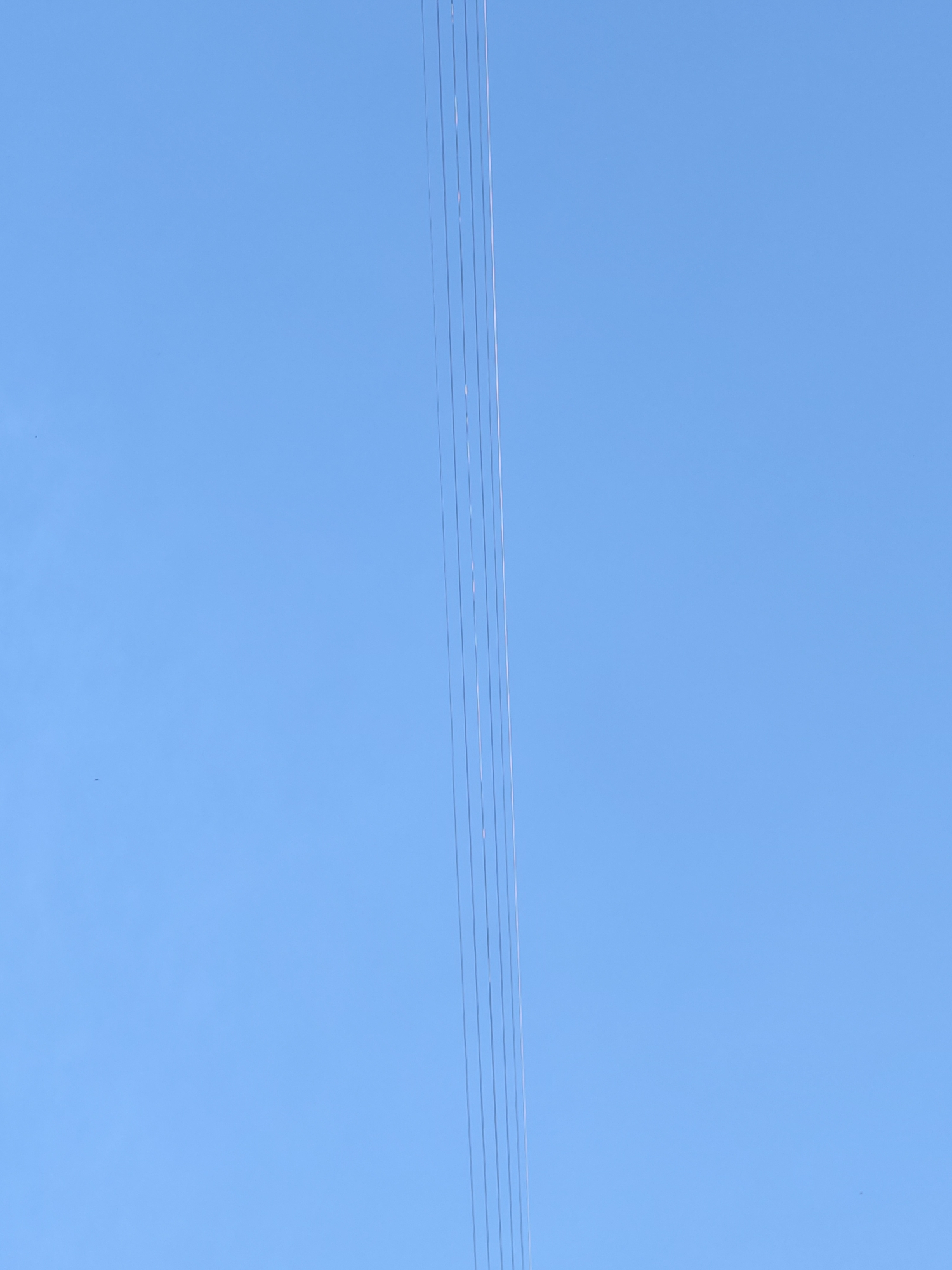 The image displays a clear and bright blue sky, occupying the majority of the frame. Several thin, dark, parallel lines, approximately five to seven in number, stretch vertically from the top to the bottom edges of the image, positioned slightly to the right of the center. These lines appear to be taut and evenly spaced, suggesting they are utility wires or cables, such as power lines or communication lines. The sky is completely cloudless, indicating fair weather and daytime conditions. There are no other visible subjects, structures, people, or discernible natural features within the frame, apart from a few extremely tiny, dark specks that are too indistinct to identify definitively, possibly distant birds or dust. No visible text is present. The scene is minimalist, focusing solely on the juxtaposition of the man-made lines against the expansive, unblemished blue sky, likely in an outdoor setting in Chaikovsky, Russia.