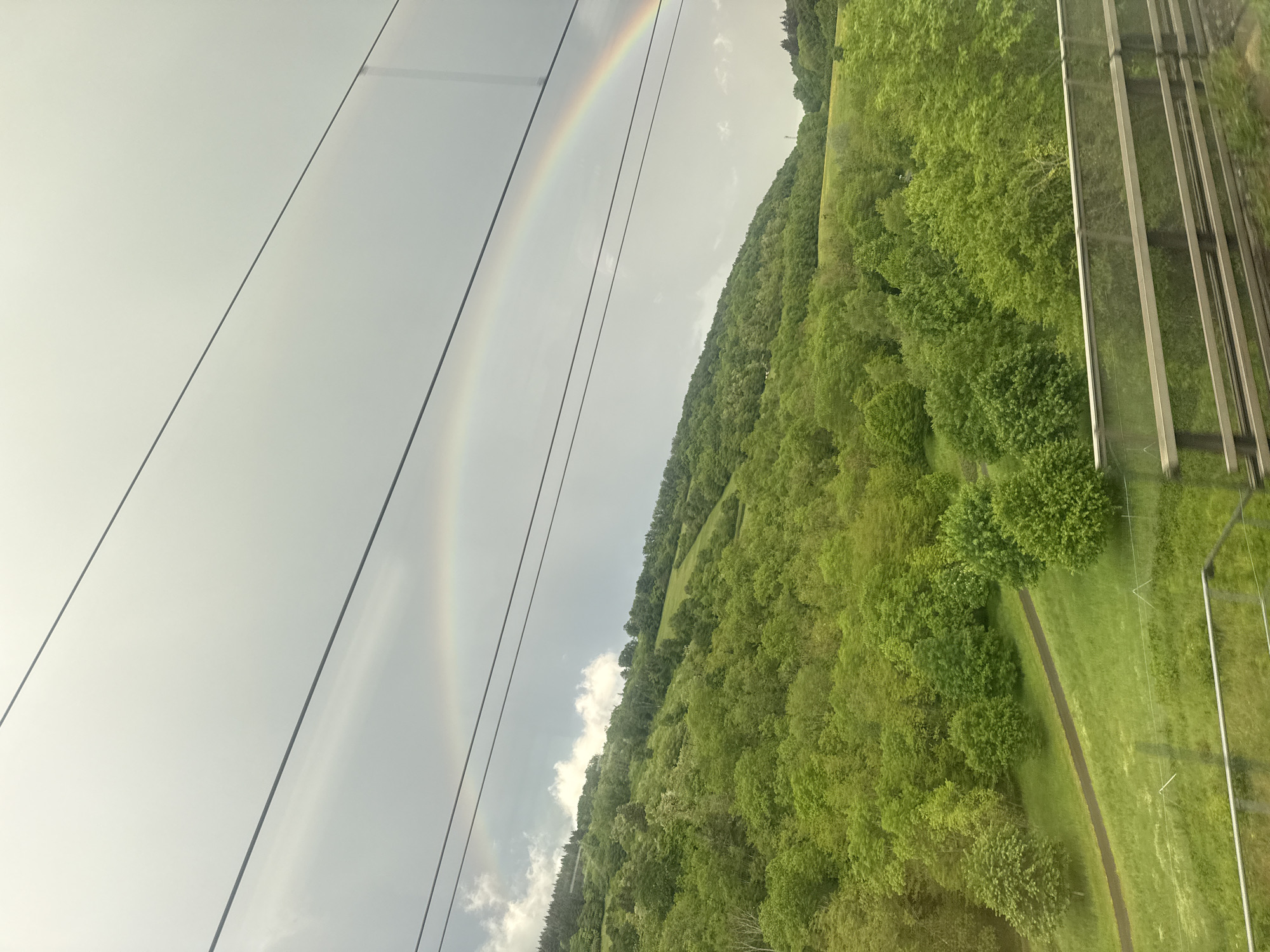 A vibrant rainbow arcs across a gray sky beside power lines. To the right, a tree-covered hillside slopes downward with a visible path cutting through the greenery. A reflective window is partially visible along the right edge. The setting is Sologny, France.