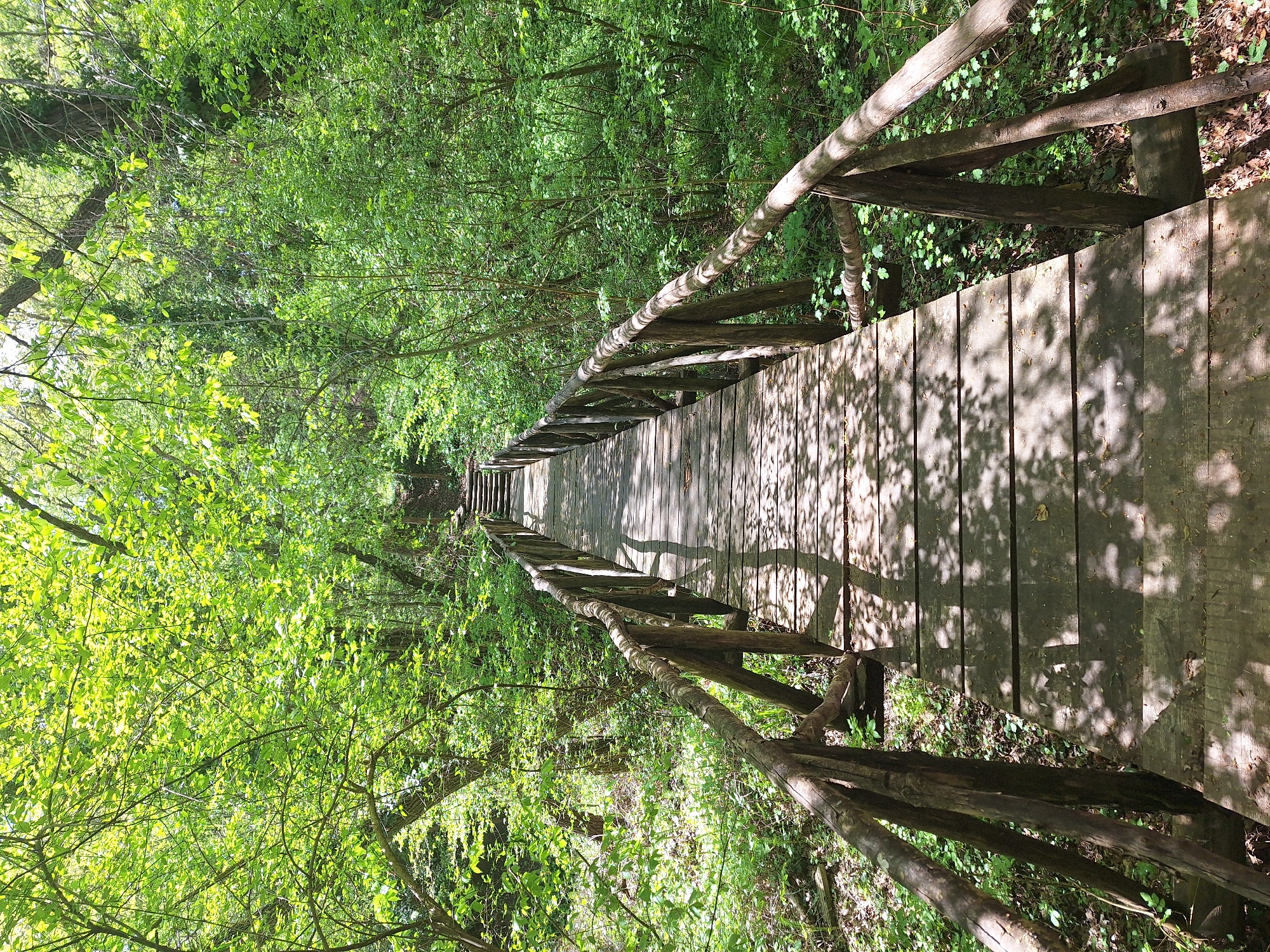 A long, wooden bridge stretches through a lush, green forest. The bridge has wooden railings made of branches and smaller logs. Sunlight filters through the trees, casting dappled shadows on the wooden planks of the bridge. The forest canopy is dense and vibrant with green leaves. The photograph is taken from an elevated position, looking down the length of the bridge. The location is likely in Varna, Bulgaria.