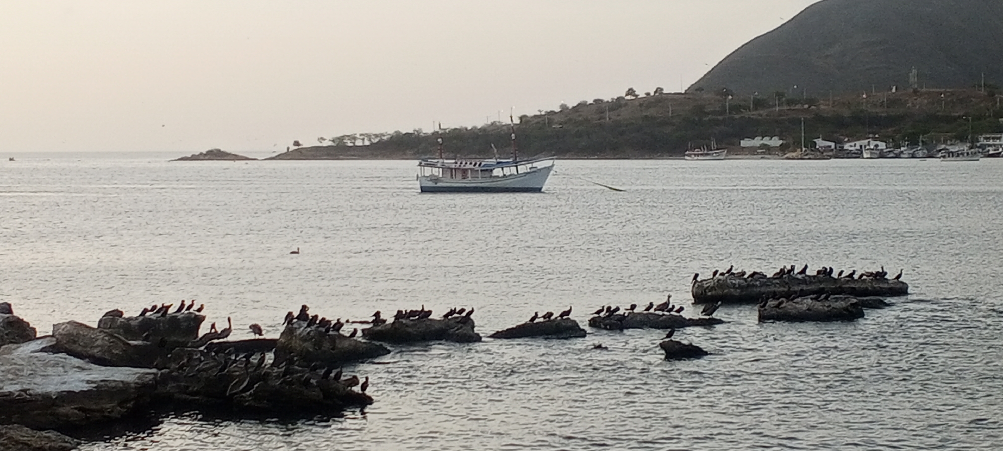 This media file depicts a coastal scene in Juan Griego, Venezuela, at what appears to be either dawn or dusk due to the soft, diffused light and pale sky. The main subjects are a body of water, likely a bay or harbor, dotted with various rocks and formations jutting out from the surface. A significant number of dark-feathered birds, possibly cormorants or similar seabirds, are perched on these rocks.
In the mid-ground, a white and blue boat with a single mast is anchored in the water, its rope extending to the shore. Further in the distance, along the coastline, there are more boats docked and buildings, suggesting a small town or settlement. The background is dominated by a gently sloping hill or mountain covered in vegetation, with some structures visible near its summit. The overall mood is tranquil and serene, emphasizing the natural beauty of the coastal environment and the presence of wildlife. There is no visible text in the image.