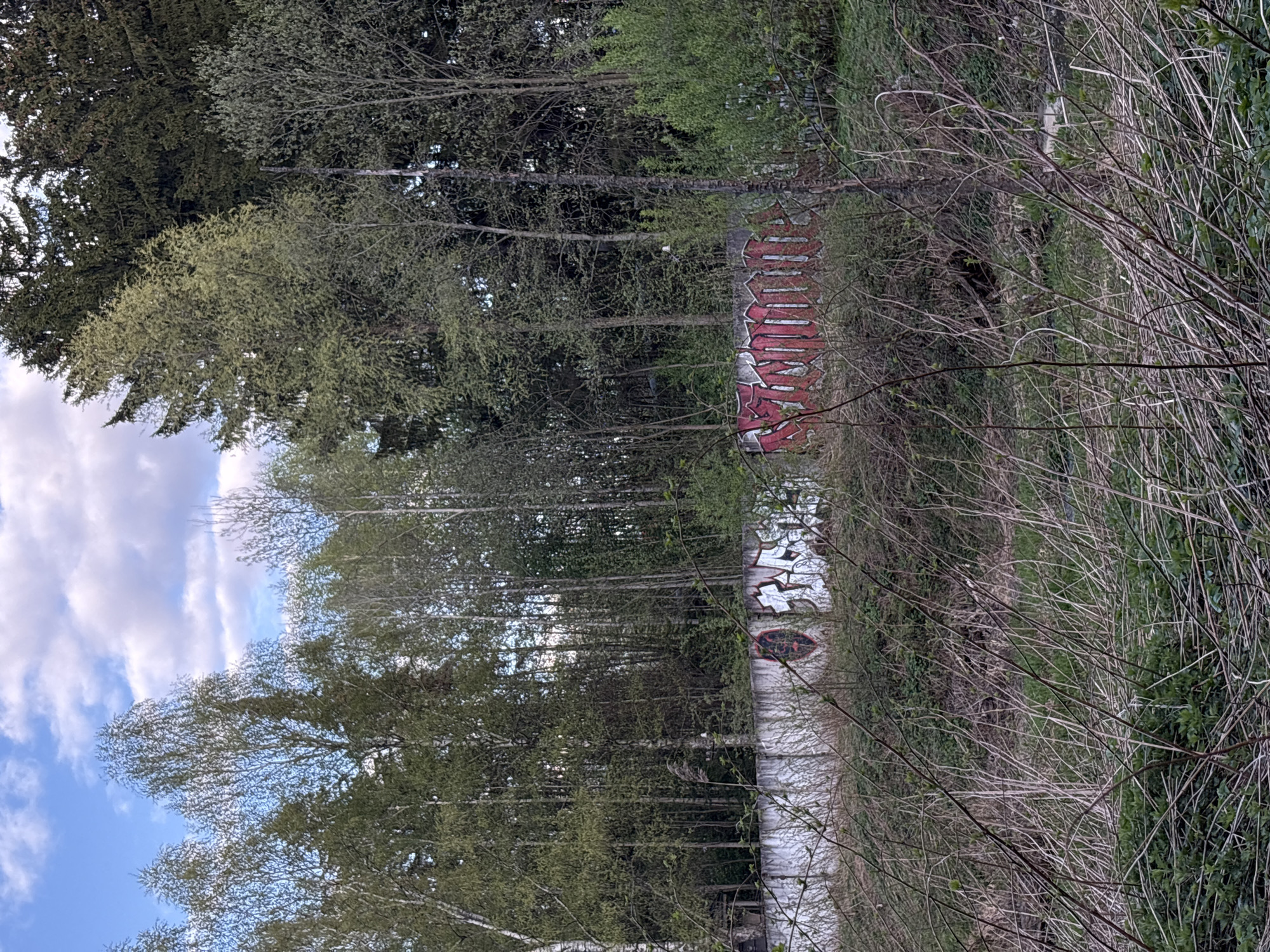 A graffiti-covered wall stands in a forested area. The wall is partially obscured by trees and brush. The top portion of the wall has red graffiti, while the lower portion is white with black graffiti. In the lower wall there is a red circle window with black around it. The location is Chaikovsky, Russia.
