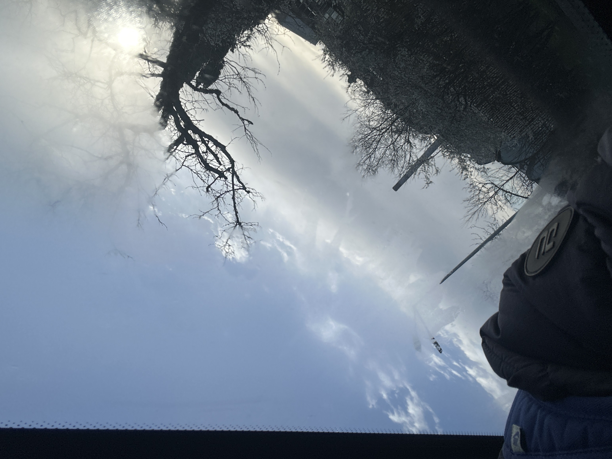 The image, taken from within a vehicle through what appears to be a sunroof or windshield, shows a view of the sky with bare tree branches visible above. The sky is a mix of blue and white clouds. At the bottom of the image is a portion of the vehicle's interior. In the lower right is the side of a person’s head and shoulder, wearing a dark jacket. The location appears to be Burgas, Bulgaria. It is daylight.