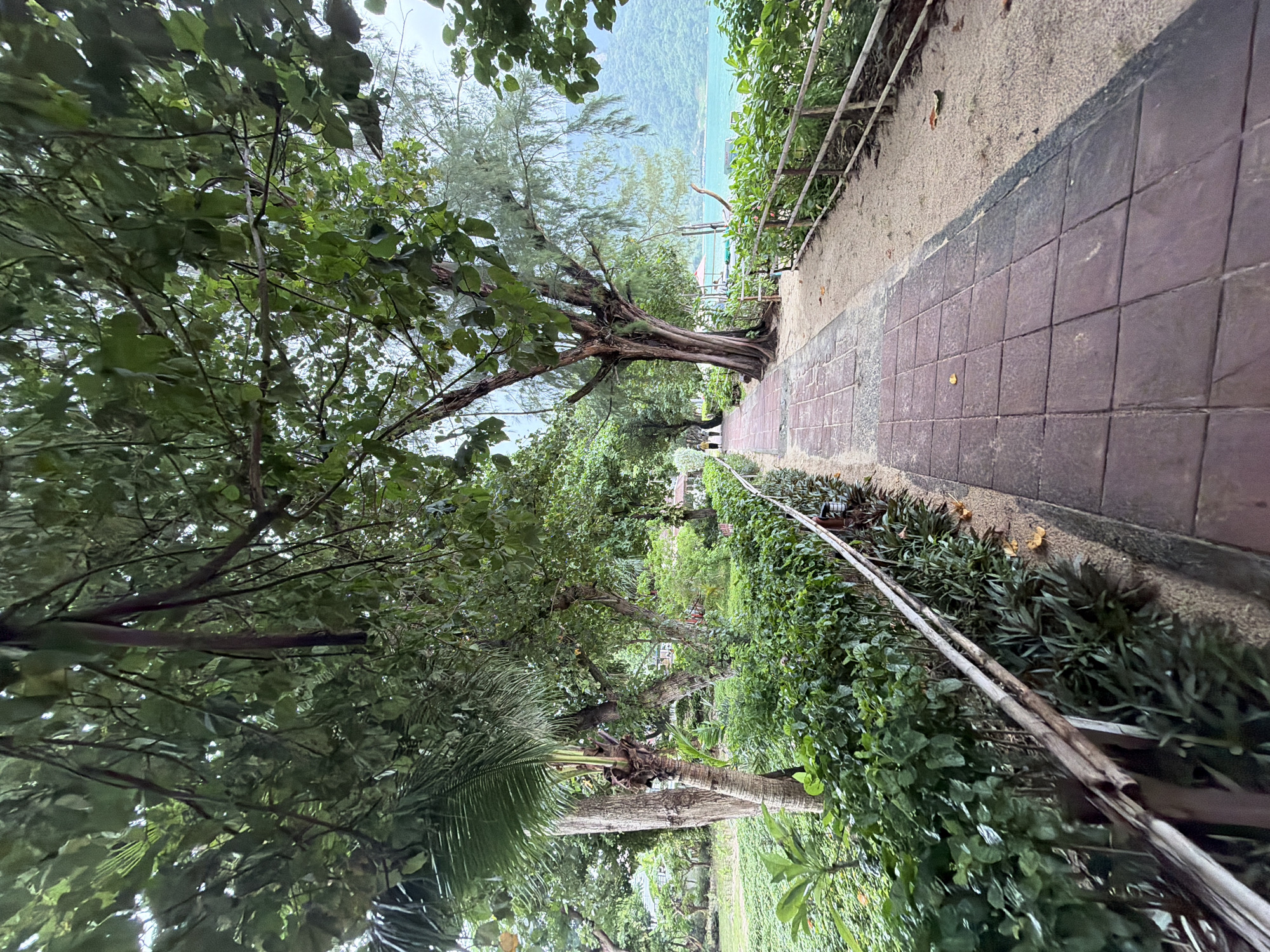 A paved pathway lined with lush green foliage and trees leads towards a body of water, likely the Andaman Sea, in Ao Nang, Thailand. The pathway is constructed of reddish-brown square tiles, bordered by a sandy area and a rustic wooden fence on the right. On the left, the pathway is bordered by dense green bushes and the trunks of several trees, including a prominent palm tree. In the background, a hazy green hill rises above the turquoise water. Two figures are visible walking on the pathway in the distance, and a red umbrella can be seen near the water's edge. The sky is overcast, suggesting a humid tropical atmosphere.