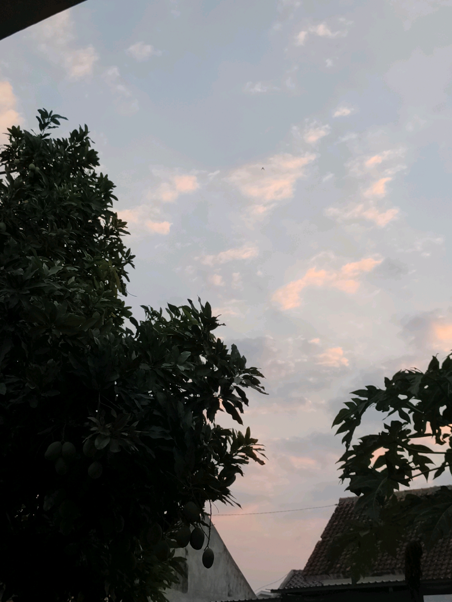 The image depicts a sky with scattered clouds tinged with pink and orange hues, suggesting either sunrise or sunset. The upper portion of the frame is a dark silhouette, possibly from a roof or overhang. In the foreground, silhouetted trees with dark green leaves dominate the left and right sides of the image. The tree on the left appears to have fruit hanging from its branches. In the background, the rooftops of houses are visible, indicating an urban or semi-urban setting. A faint horizontal line, possibly a wire, is visible in the middle ground. The overall impression is a serene, natural scene against a backdrop of human habitation in Gawanan, Indonesia.
