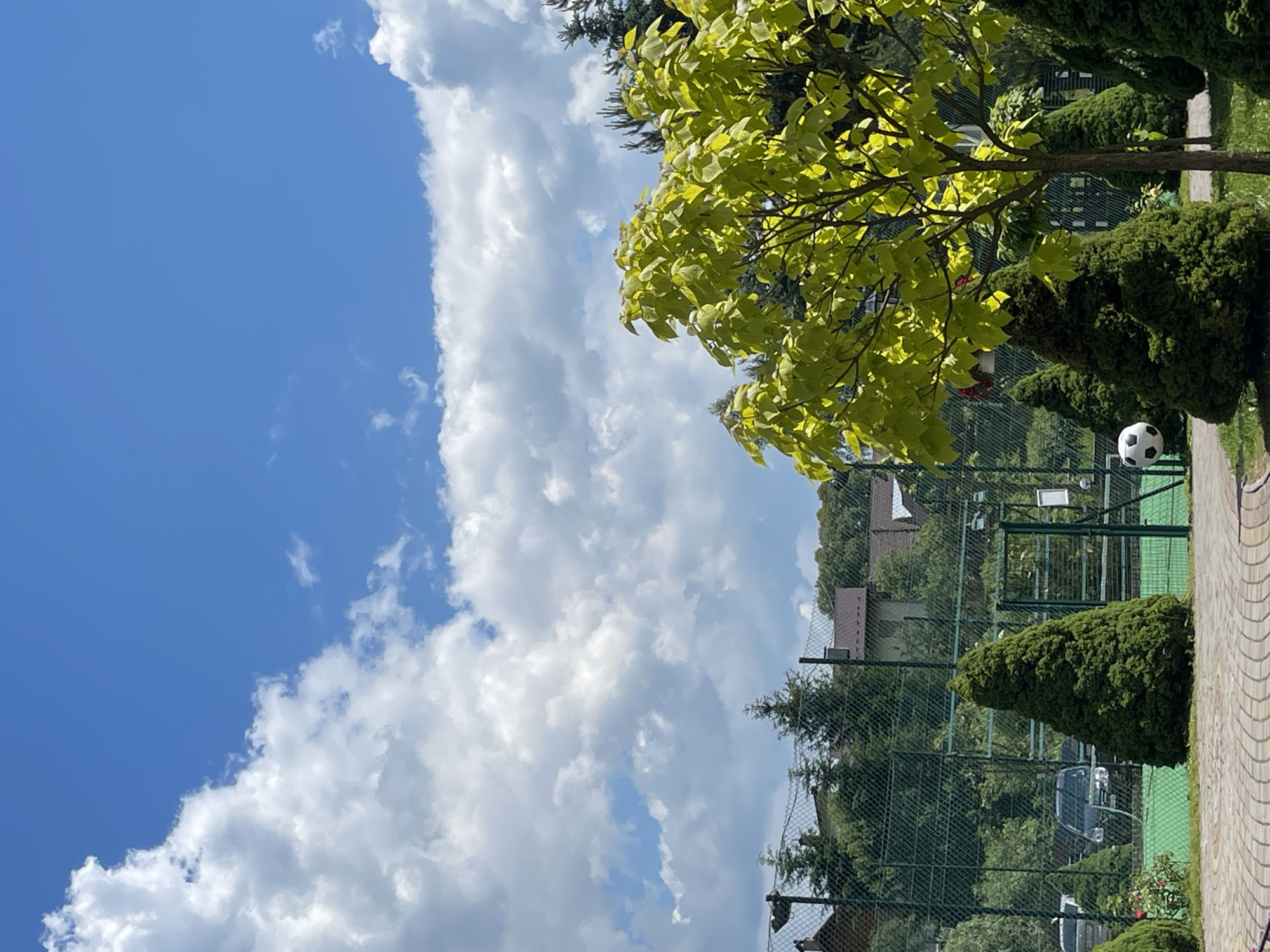 The image depicts an outdoor scene under a bright blue sky with scattered white clouds. In the foreground, there is a patterned paved walkway leading towards a grassy area. Several evergreen trees, pruned into conical shapes, are strategically placed. A tree with vibrant green leaves is prominent on the right side. In the middle ground, a fenced-in area appears to be a tennis court, evidenced by the green surface and net. A black and white soccer ball is visible near the fence. Beyond the court, there are houses with brown roofs surrounded by lush greenery and trees. Several cars are parked in the background, outside the court area. The overall impression is a well-maintained recreational space in a suburban or semi-rural setting, likely in the city of Skhidnytsia, Ukraine, given the context provided. There are no people visible in the frame.