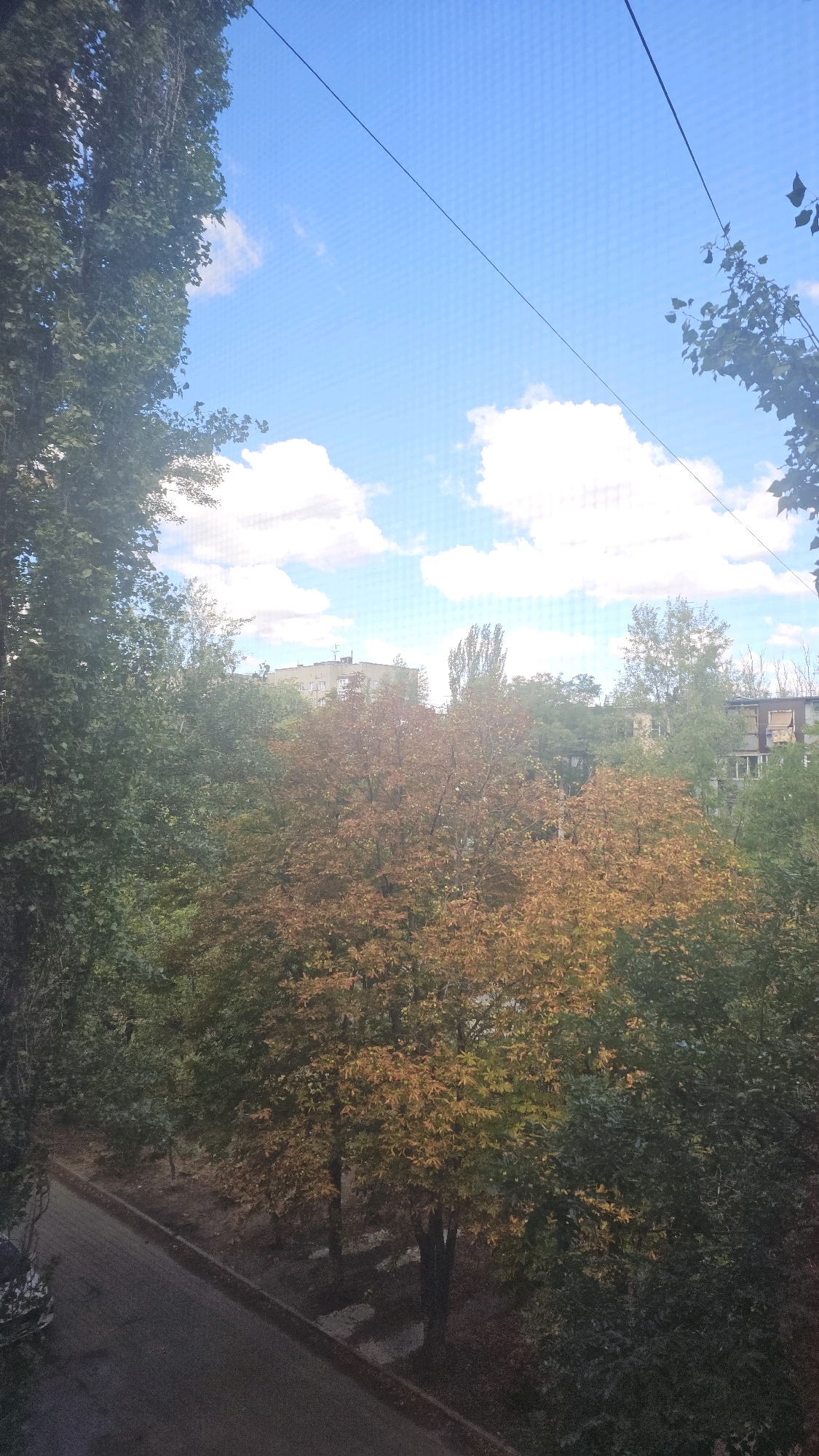 The image captures an outdoor scene from an elevated perspective, likely from a window, overlooking a street and several trees with some buildings in the background. The sky is a bright blue with scattered white clouds. Two dark wires are visible diagonally across the upper portion of the frame.
In the foreground, on the left side, a tall tree with dark green foliage dominates the view. To the right of this, a tree with autumn foliage, displaying shades of orange and yellow, is prominent. Further back, other trees with green leaves can be seen, along with the tops of apartment buildings, suggesting an urban or suburban environment. A paved street runs along the bottom left of the image, with a parked vehicle visible on its edge. The ground around the trees appears to be dirt and possibly some scattered leaves. The overall impression is a view of a residential area during the autumn season.