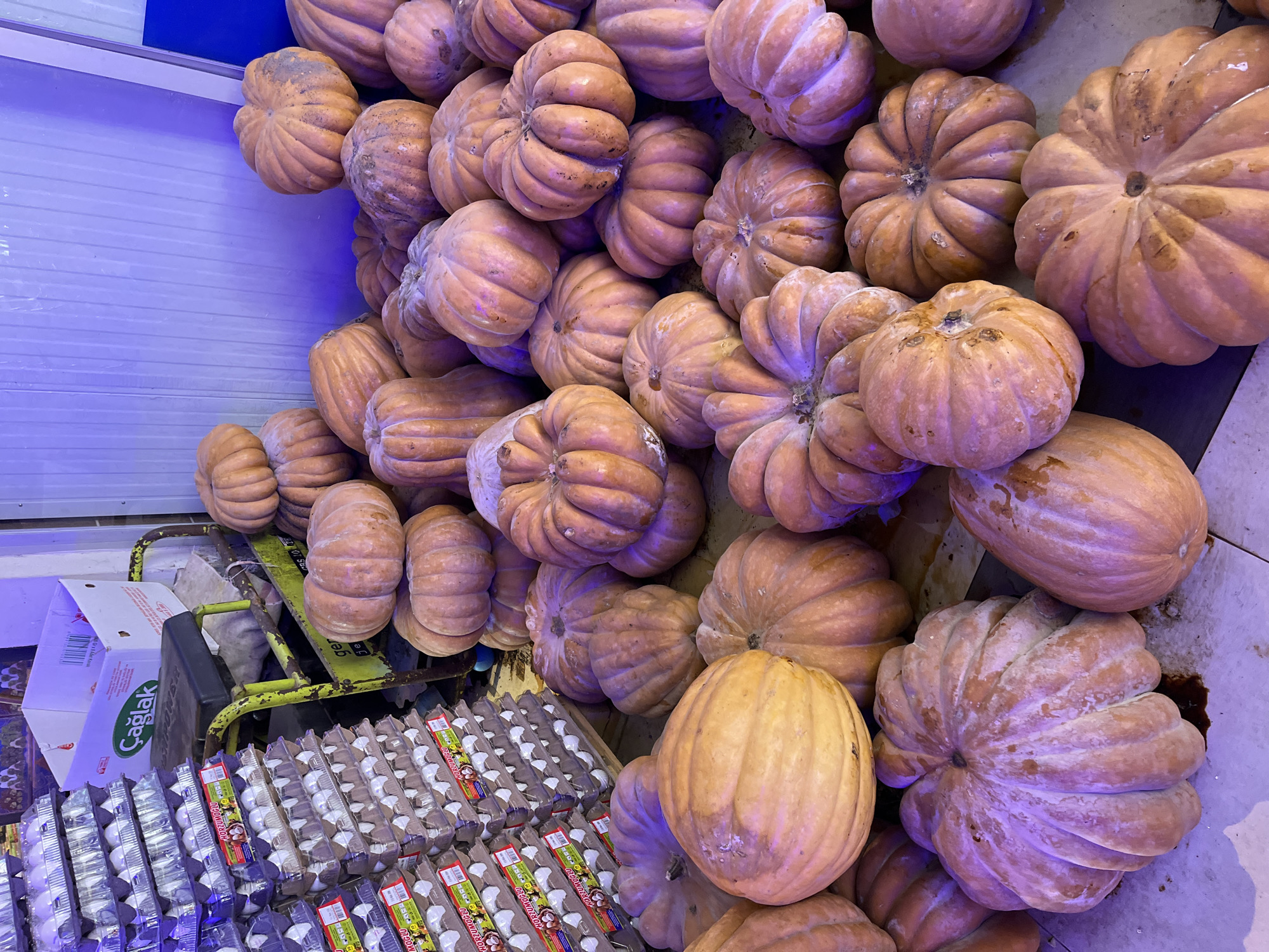 The image displays a large quantity of light orange or tan pumpkins, mostly round and prominently ribbed, piled and scattered across the foreground and middle ground of what appears to be a market or grocery store. The pumpkins vary in size, from smaller ones visible at the top and left to larger ones dominating the right side of the frame. Many of the pumpkins show scuff marks or patches of dirt, suggesting they are fresh from harvest or transport.
In the lower left and bottom center of the image, multiple rows of white eggs are neatly stacked in cardboard and plastic cartons. Below some of the pumpkins, a green metal trolley or cart is partially visible, supporting part of the display. Next to the eggs, a white cardboard box with the brand name "Çağlak" printed in green is seen, open and empty.
The scene is illuminated by artificial lighting, which casts a blue or purple hue, particularly noticeable on a light-colored, possibly corrugated, wall in the upper left background and on some of the pumpkins themselves. No people are visible in the frame. The overall impression is that of a bulk produce display in a market setting.
Visible text includes "Çağlak" on the white box and partially legible words like "GOLANOLU" on the egg cartons, and "GEREL" and "Şişe" on a sticker on the green trolley. The image captures a portion of a bustling market in Alanya, Turkey, showcasing autumnal produce and everyday staples.