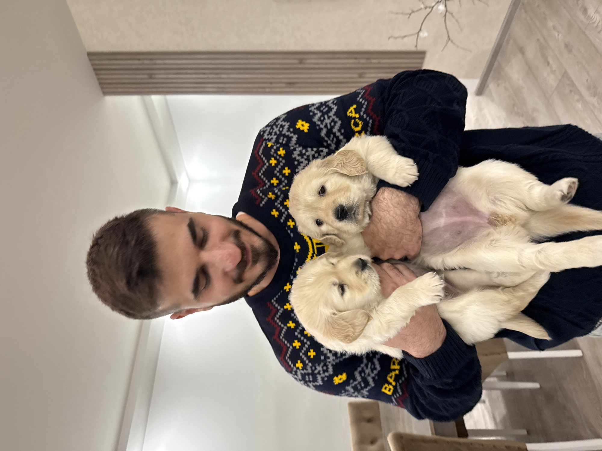 A man with a beard is holding two light-colored golden retriever puppies. The man is wearing a navy blue sweater with yellow and red patterned accents and the word "BARBADOS" visible on the lower left sleeve. He is smiling and looking down at the puppies. The puppies are nestled in his arms, one lying on its back. The background includes a white wall, a wooden-slatted wall, and a light-colored wooden floor. There is also a hint of furniture and a decorative twig in the upper-right corner. The image is indoors. There is no indication of the location being in Yerevan, Armenia.