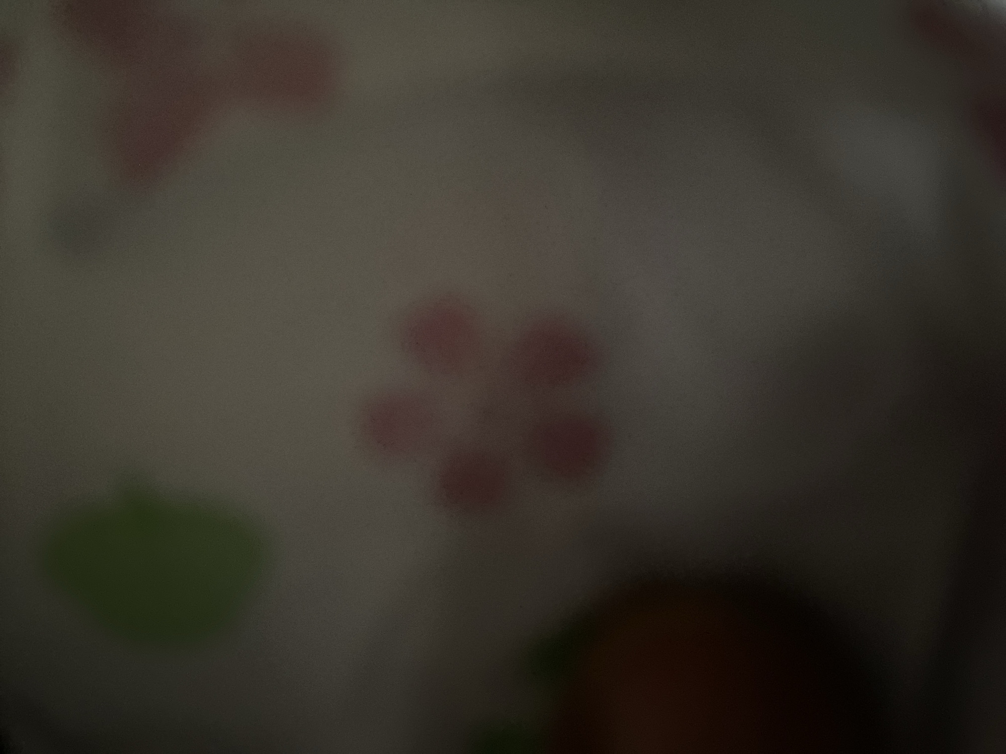 The image depicts a blurry, close-up view of a fabric with a pattern. A distinct five-petaled pink flower shape is visible in the center. To the left and slightly above the flower, a green amorphous shape is present. Further to the left and lower, a dark orange circular object is partially visible. To the upper right of the pink flower, another blurry pink shape can be discerned. The background is a light, neutral color, likely a plain fabric. The overall impression is of a textile with a children's or floral motif. There is no discernible information about the city of Jauro Yinu, Nigeria, or any people, actions, or interactions within this image.