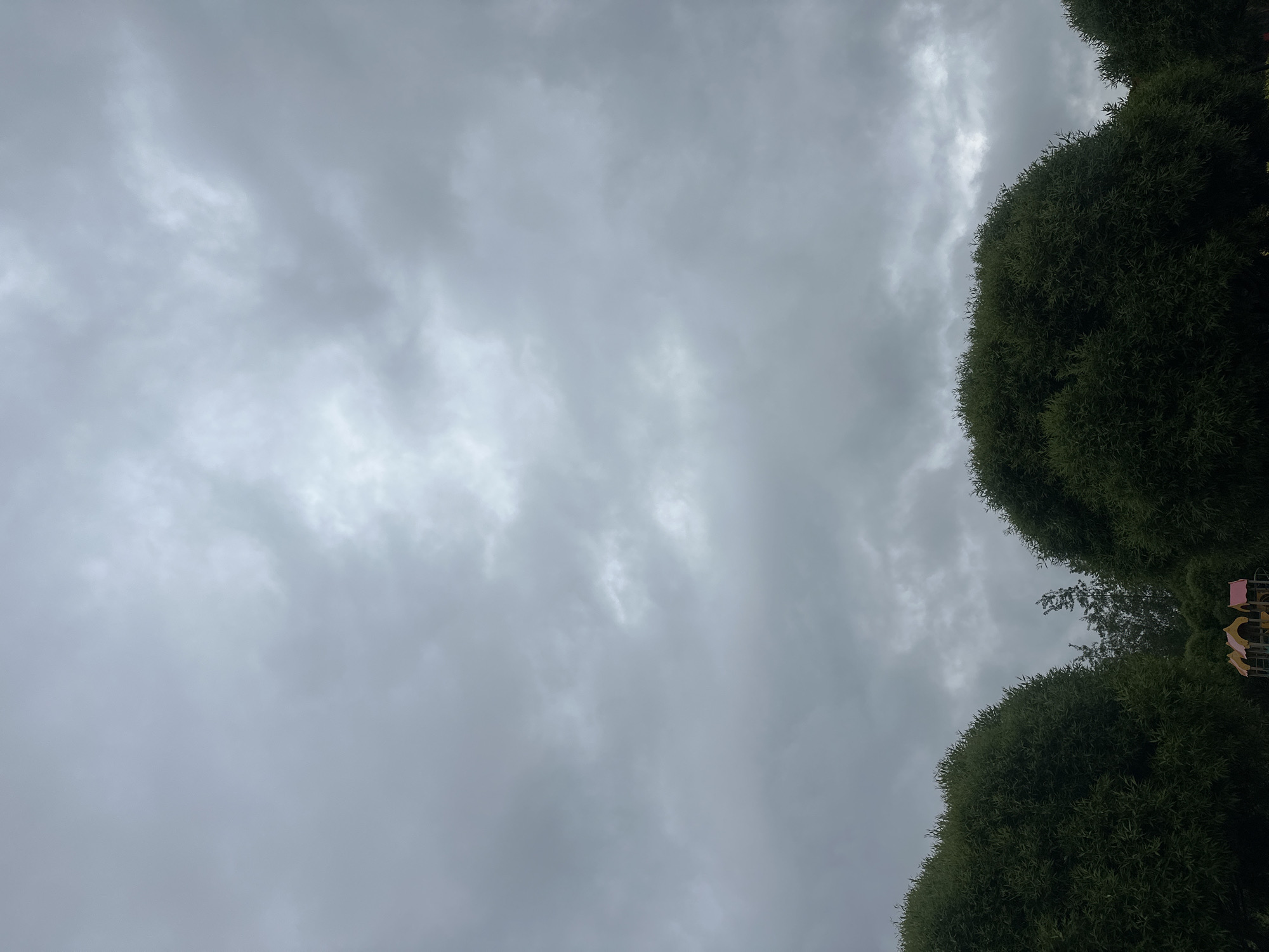 The image shows a view upwards towards a cloudy sky, with two large, round-shaped trees framing the right side of the image. The leaves of the trees are dense and dark green. A portion of a structure with pink and yellow elements is partially visible amidst the trees. The sky is overcast with various shades of grey clouds. Based on the location of Chaikovsky, Russia, and the appearance of the structure, the scene may be taken in a park or outdoor area with recreational facilities.
