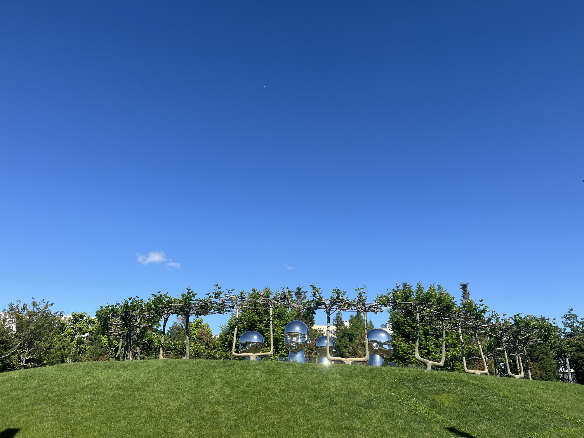 The image presents a serene outdoor scene in Krasnodar, Russia, on a bright, sunny day. A vast expanse of clear, deep blue sky dominates the upper two-thirds of the frame, with a single small white cloud visible towards the left.
In the midground, a lush green grassy slope rises gently. Partially embedded within this slope are four large, highly reflective, silver-toned sculptures. These sculptures are stylized human heads or busts, positioned in a horizontal line. Their polished surfaces vividly reflect the surrounding blue sky and green foliage. The second sculpture from the left features discernible facial details, including eyes, a nose, and a subtle smile.
Behind the sculptures, a distinctive line of trees with their branches trained horizontally forms a natural arbor or trellis structure. Beyond this, dense green trees and various foliage create a verdant backdrop, with glimpses of white buildings peeking through the upper branches in the far distance.
The scene is static, depicting no specific activity or event other than the presentation of public art within a landscaped environment. The time of day is clearly daytime, indicated by the strong sunlight and shadows. The weather is fair and clear. There is no visible text in the image.
