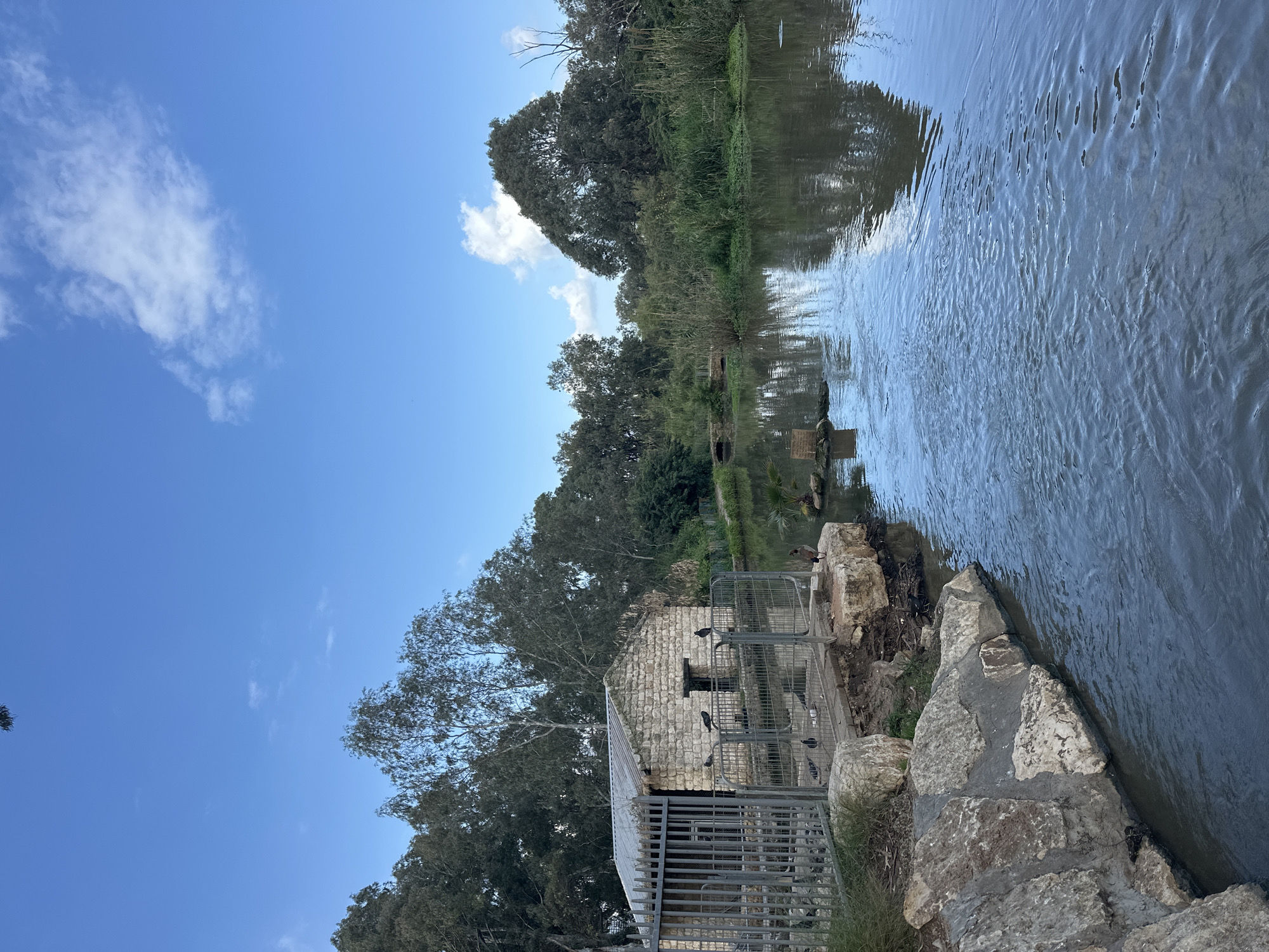 The image captures a serene outdoor scene featuring a body of water, likely a river or stream, flowing from the foreground towards the background on a bright, sunny day. The sky above is a vibrant clear blue with a few scattered white, wispy clouds.
Along the left bank, a distinctive old stone building with a gabled roof stands near the water's edge. The building is constructed from light-colored, roughly-hewn stones. A metal fence or cage structure is attached to the front of this building, partially obscuring its base. Several dark birds, appearing to be pigeons or doves, are perched on the roof of the building and on the top of the metal fence.
The riverbanks are densely lined with rich green vegetation, including tall, mature trees with dark, full canopies that stretch across the mid-ground and background. Shorter grasses and reeds are also visible closer to the water. In the foreground on the right, several large, rough-hewn rocks form part of the bank, creating a natural boundary with the water. A single dark, duck-like bird is visible standing on the rocky bank further along from the stone building.
The surface of the water displays numerous small ripples and reflections, indicating movement and mirroring the blue sky and green foliage. The scene evokes a tranquil and natural atmosphere, typical of a park or nature reserve. No discernible text is visible in the image. Given the context, this peaceful landscape is located in Ramat Gan, Israel.