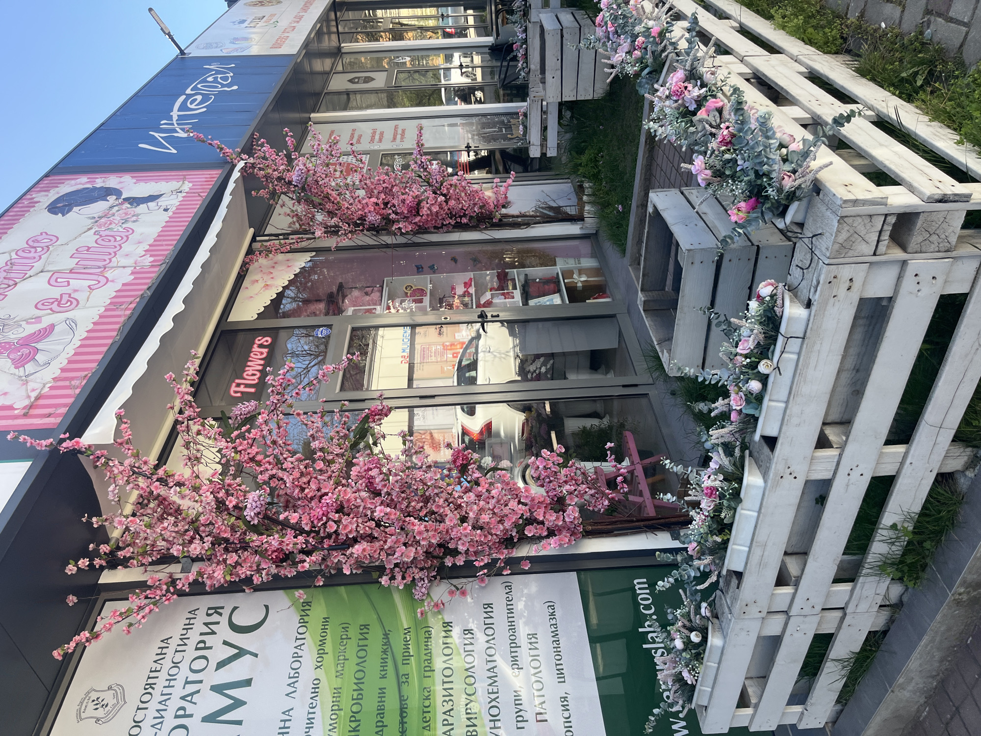 The image depicts the exterior of a business in Sofia, Bulgaria. The building has a sign for "Romeo & Juliet" and another for "Flowers." Artificial pink cherry blossom trees flank the entrance, while a white pallet-fence adorned with floral arrangements borders the sidewalk. Another sign advertises the Independent Diagnostic Laboratory "MUC" (in Cyrillic script) and a website ending in "slab.com." Reflections in the glass storefront suggest a street scene with cars.