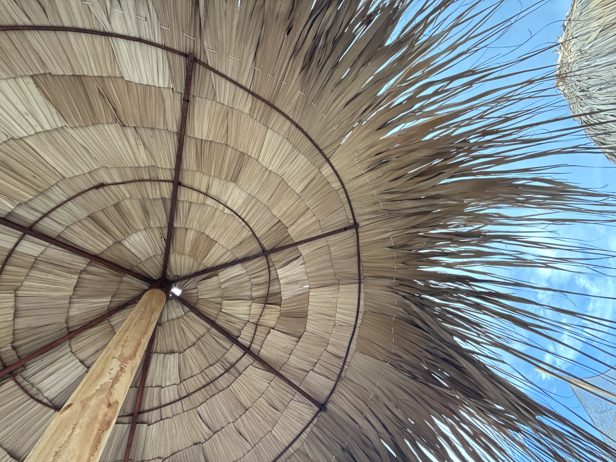 An upward view of the underside of a thatched umbrella at a beach in Burgas, Bulgaria. The umbrella is constructed with dried palm leaves, forming a radial pattern supported by a metal frame. A wooden pole extends from the center upwards, forming the main support. Below the thatched roof, long, dry palm fronds hang down, obscuring the bright blue sky with scattered white clouds. To the lower right, a portion of another thatched umbrella is visible. The scene conveys a sense of a sunny day at the seaside.
