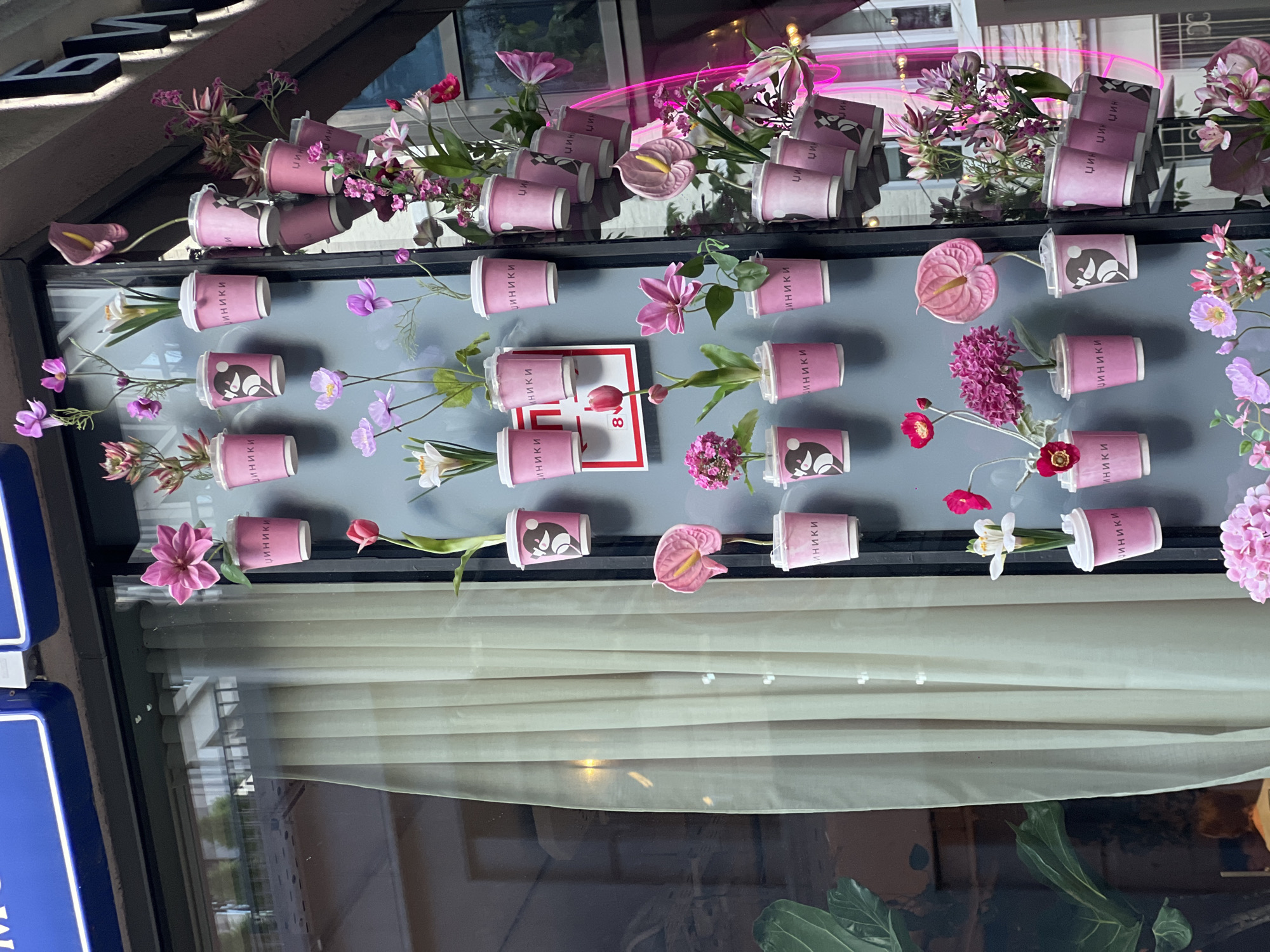 This vertical image captures a vibrant and decorative window display, likely from a shop or cafe in Moscow, Russia. The display features multiple rows of small, light pink or purple paper cups, each holding artificial flowers and greenery. These cups are arranged on clear shelves or ledges within the window, creating a layered effect.
The flowers vary in type and color, including pink tulips, striking pink anthuriums, an assortment of small purple, pink, red, and white blossoms, and various green foliage. The dominant color scheme of pinks and purples evokes a cheerful, festive, and spring-like atmosphere. Many of the cups are emblazoned with the Cyrillic word "ЦИНИКИ" (TSINIKI), and some also feature a distinct black silhouette logo.
A notable detail is a rectangular red and white sign displaying the number "8," positioned centrally within the display. This detail, combined with the abundance of flowers, strongly suggests the display is themed around March 8th (International Women's Day), a significant floral holiday in Russia. Reflections of pink neon lights are visible on the top shelf, adding a bright glow to the arrangement.
Outside the window, reflections of buildings and a partial blue sign with white lettering are visible. Inside, below the main display, a light-colored horizontal blind is partially drawn, and a large-leafed plant can be seen. The scene is illuminated by ambient daylight, giving the impression of a daytime setting.