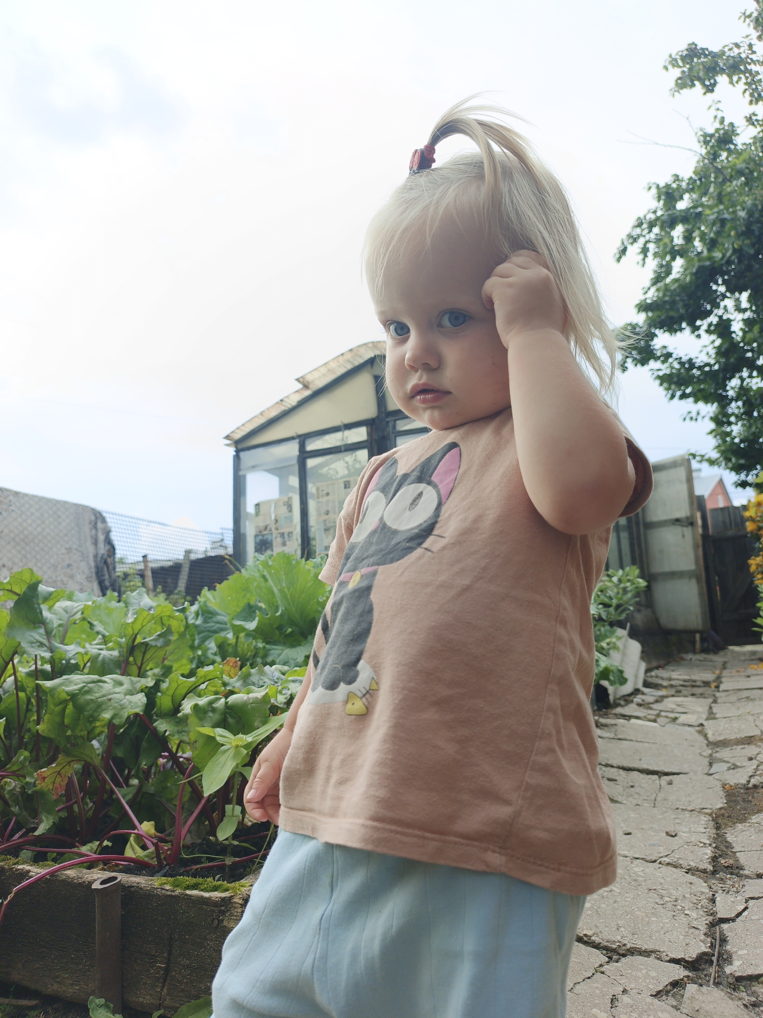 A blonde-haired toddler with blue eyes is standing outdoors in a garden. She is wearing a light brown t-shirt with a cartoon cat graphic and light blue pants. The toddler has her right hand raised to her forehead. The background includes a greenhouse, a garden bed with leafy green vegetables, a cracked concrete path, and trees. The image appears to have been taken on a cloudy day. This scene is in Medvedyovka, Russia.