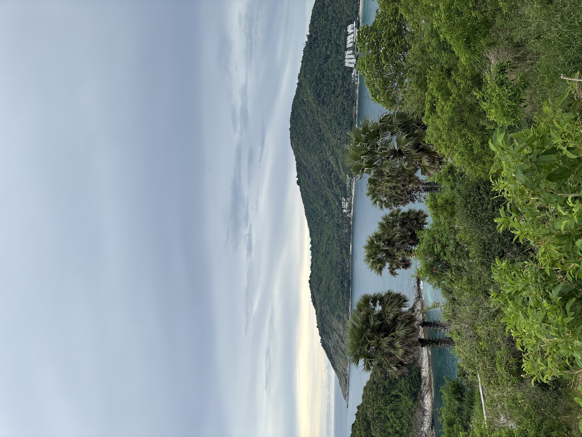 The image depicts a scenic coastal view in Rawai, Thailand, under an overcast sky. In the foreground, lush green foliage and palm trees dominate, with two prominent palm trees in the center-left of the frame. Beyond the trees, a body of calm, turquoise water stretches out, meeting a verdant, hilly island in the mid-ground. The island is covered in dense green vegetation, with white buildings visible on its slopes. The water extends to the horizon where it meets a soft, light-colored sky with visible cloud formations.