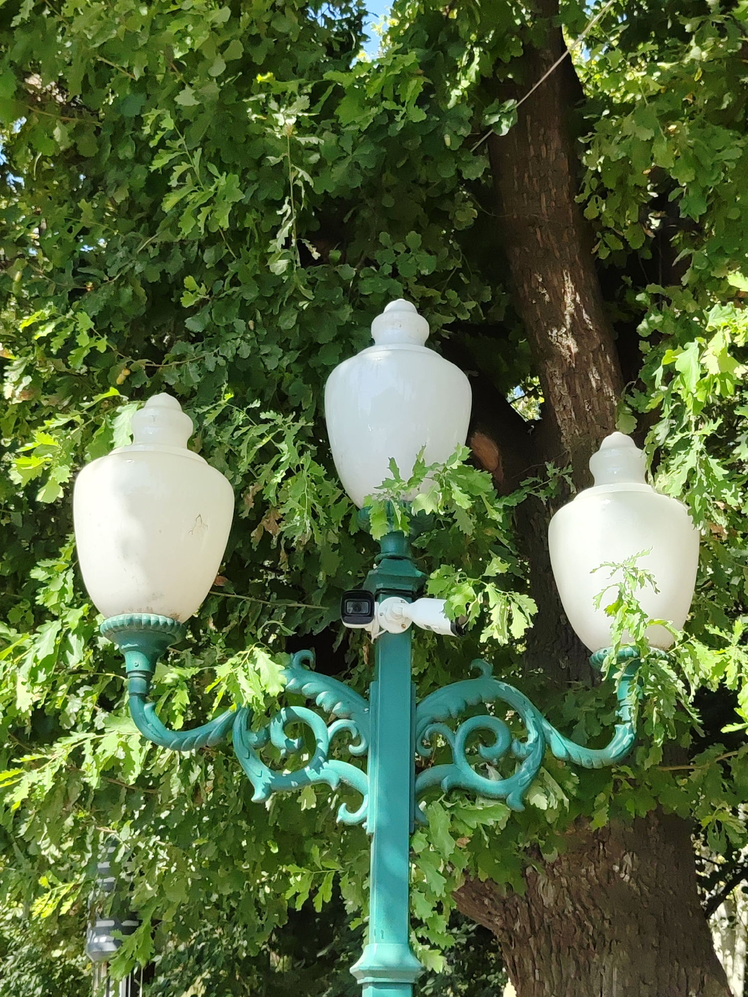 A vintage teal-colored street lamp with three white glass lampshades stands against a backdrop of lush green foliage from a large tree. The lamp has ornate scrollwork and is topped with decorative finials. A small, modern security camera is attached to the lamp post. The image appears to be taken outdoors on a sunny day, with dappled light filtering through the leaves. This scene is located on Amir Timur Square in Tashkent, Uzbekistan.