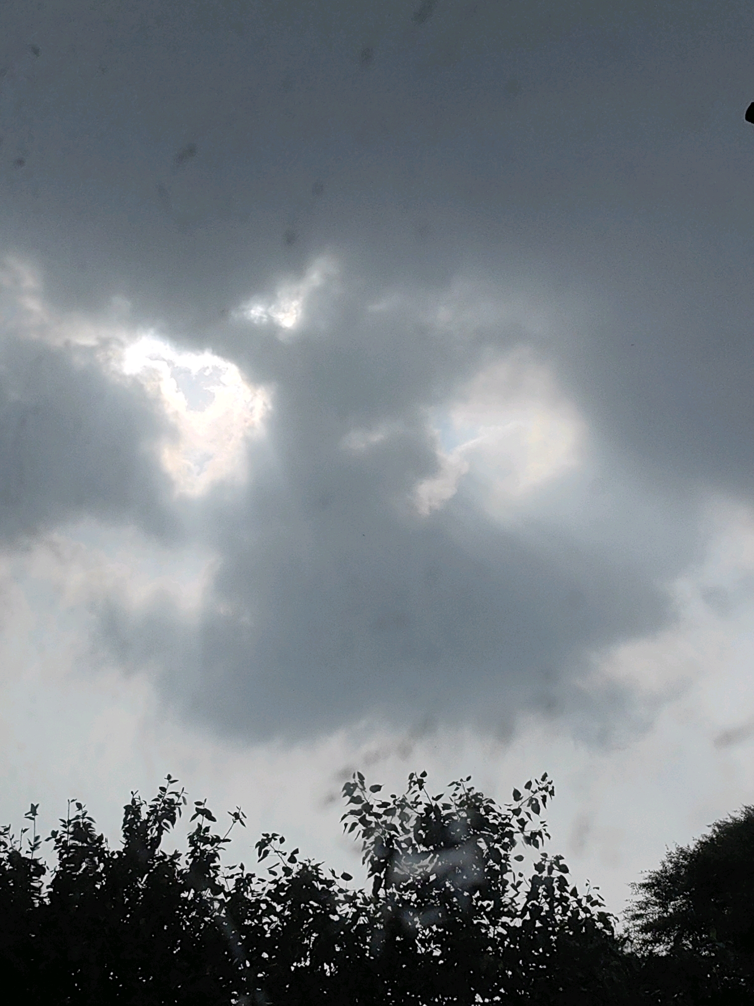 The image depicts a moody sky with dark, heavy clouds. Sunlight pierces through a gap in the clouds, creating bright, illuminated patches. Silhouetted against the sky are the tops of trees, their branches and leaves appearing dark and dense. The scene has a natural, outdoor feel, possibly capturing the prelude to or aftermath of a storm. Without further context or identifiable landmarks, pinpointing the exact location within Chandigarh, India, is not possible from the image alone.