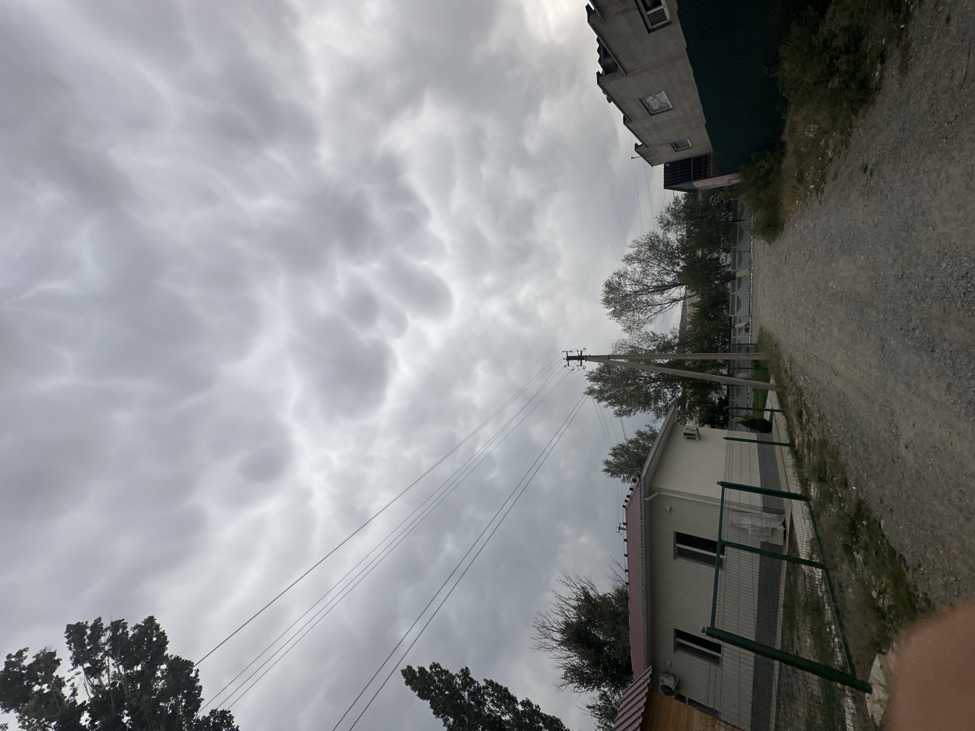 The image depicts a rural or suburban street scene under a dramatic, overcast sky with mammatus clouds. The foreground is a gravel road leading away from the viewer. On the left, a low-lying building with a white facade and a red-tiled roof is visible, bordered by a green wire fence. To the right of the road, a partially constructed or dilapidated building with a gray concrete facade and visible windows is present, also fenced with green material. Trees with dark green foliage are scattered throughout the scene, some tall and thin, others more mature. Power lines stretch across the upper portion of the image. The overall atmosphere is somber, likely due to the cloud formation. The location is identified as Алмалуу, Kyrgyzstan.