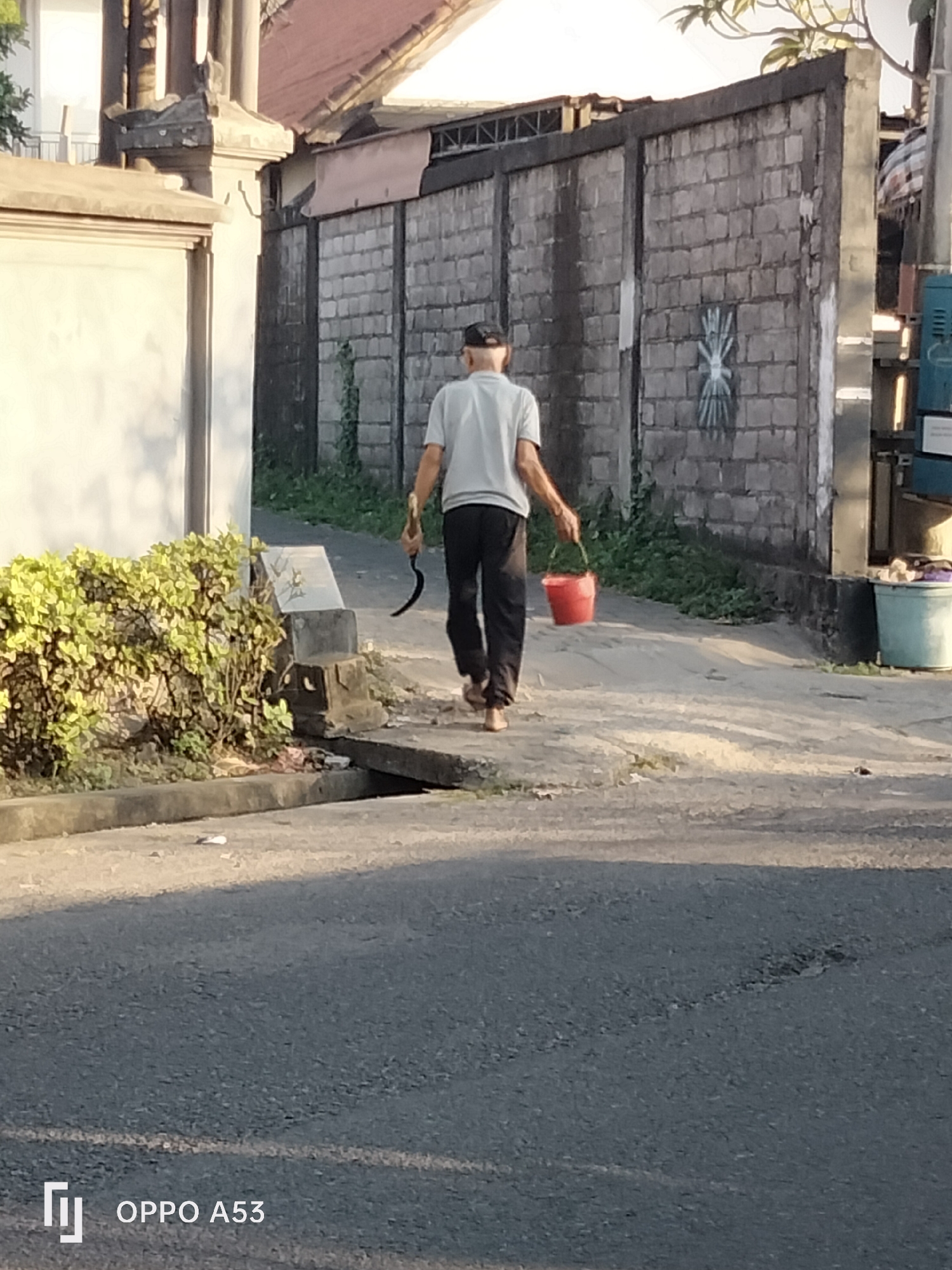 An elderly man wearing a white t-shirt and black pants, and a black cap, walks away from the camera. He carries a red bucket in his right hand and a sickle in his left hand. He is on a paved path next to a lush green bush. Behind him is a brick wall with an artistic design, and a building with a red roof. The scene appears to be in Denpasar, Indonesia, judging by the architecture and the presence of the OPPO A53 watermark, a common brand in Indonesia.