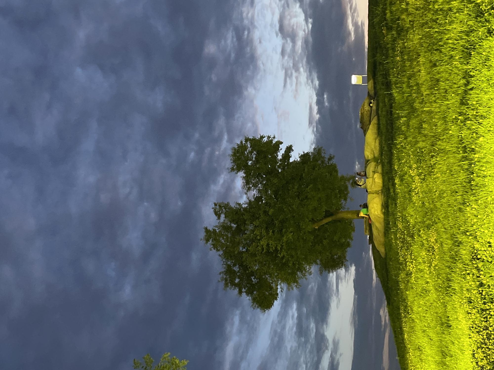 The image captures a twilight scene on a grassy hill overlooking a city, likely Plovdiv, Bulgaria, given the context. In the foreground, a vibrant, brightly lit green field with scattered small yellow flowers stretches towards the viewer. The middle ground features a prominent, large tree with lush green foliage situated on a rocky outcrop. Beneath the tree, illuminated by artificial lights, a group of people are gathered. One individual in a green shirt is seated, facing away from the camera, near a red object. Two other individuals, partially obscured, are also present in this area. To the right of the tree, a white illuminated sign stands erect on the hilltop. The background is dominated by a dramatic sky filled with dark, moody clouds, with hints of lighter hues towards the horizon, suggesting the transition from day to night. The overall atmosphere is serene, with the artificial lighting creating a stark contrast against the natural twilight.