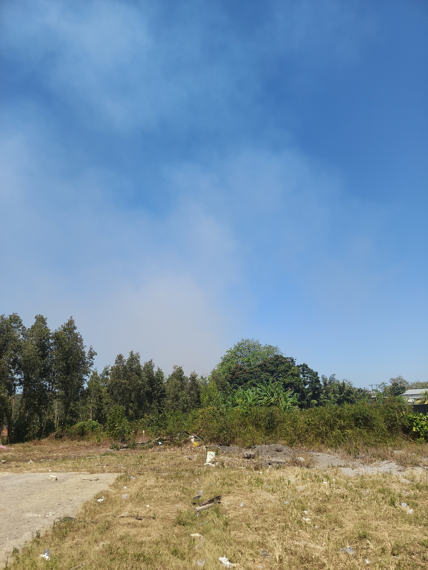 The image depicts an outdoor scene with a clear blue sky featuring wispy clouds. The foreground consists of dry, yellowed grass scattered with debris, including plastic bottles and bags. A dirt path or cleared area is visible on the left side of the foreground. Beyond the dry grass is a dense line of various trees and vegetation, with some taller trees on the left and a cluster of lush green trees and banana plants in the center. A few distant structures, possibly houses, are partially visible through the trees on the right. The environment appears somewhat unkempt, with visible litter in the foreground and middle ground. This scene could be a vacant lot or an undeveloped area on the outskirts of the city of Pangkalpinang, Indonesia, characterized by natural growth and signs of human waste. There are no people or animals present in the image.