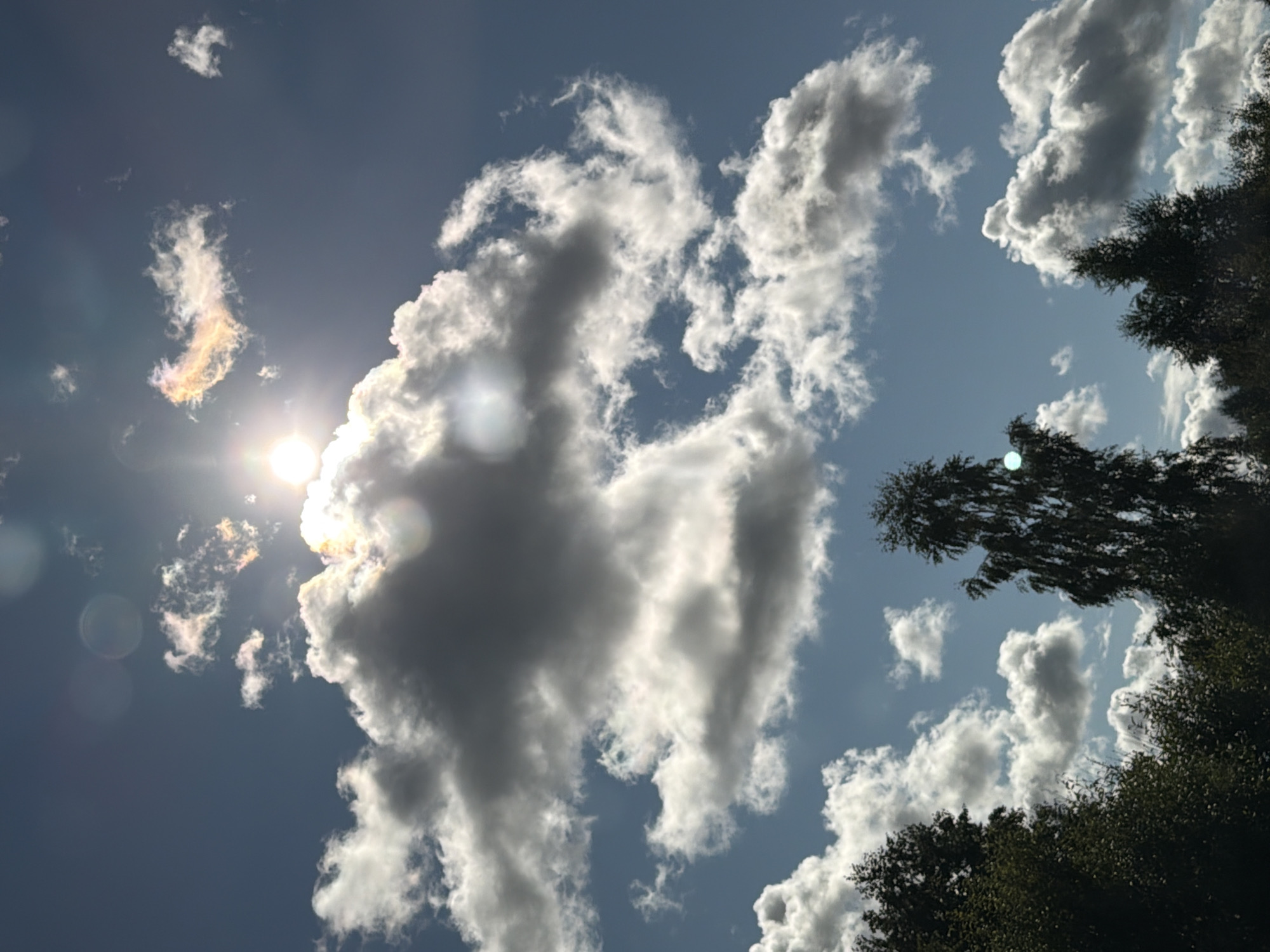 This is a vertical, eye-level shot of a bright, partly cloudy sky with sunlight filtering through. The sun itself is visible, a bright white orb to the left of the frame, partially obscured by clouds. Some of the clouds are white and fluffy, while others are darker and more ominous. There are some colorful iridescence visible in a cloud formation near the sun, suggesting a rare atmospheric phenomenon. In the foreground, silhouetted against the sky, are the tops of trees, with dark green foliage. The scene appears to be outdoors, likely in a natural setting, possibly a park or forest. The lighting suggests it is daytime, and the presence of clouds indicates dynamic weather conditions. The image does not contain any people or specific landmarks that would help pinpoint a precise urban location, but given the context of Saulgoži, Latvia, it likely depicts a natural area within or on the outskirts of the town.