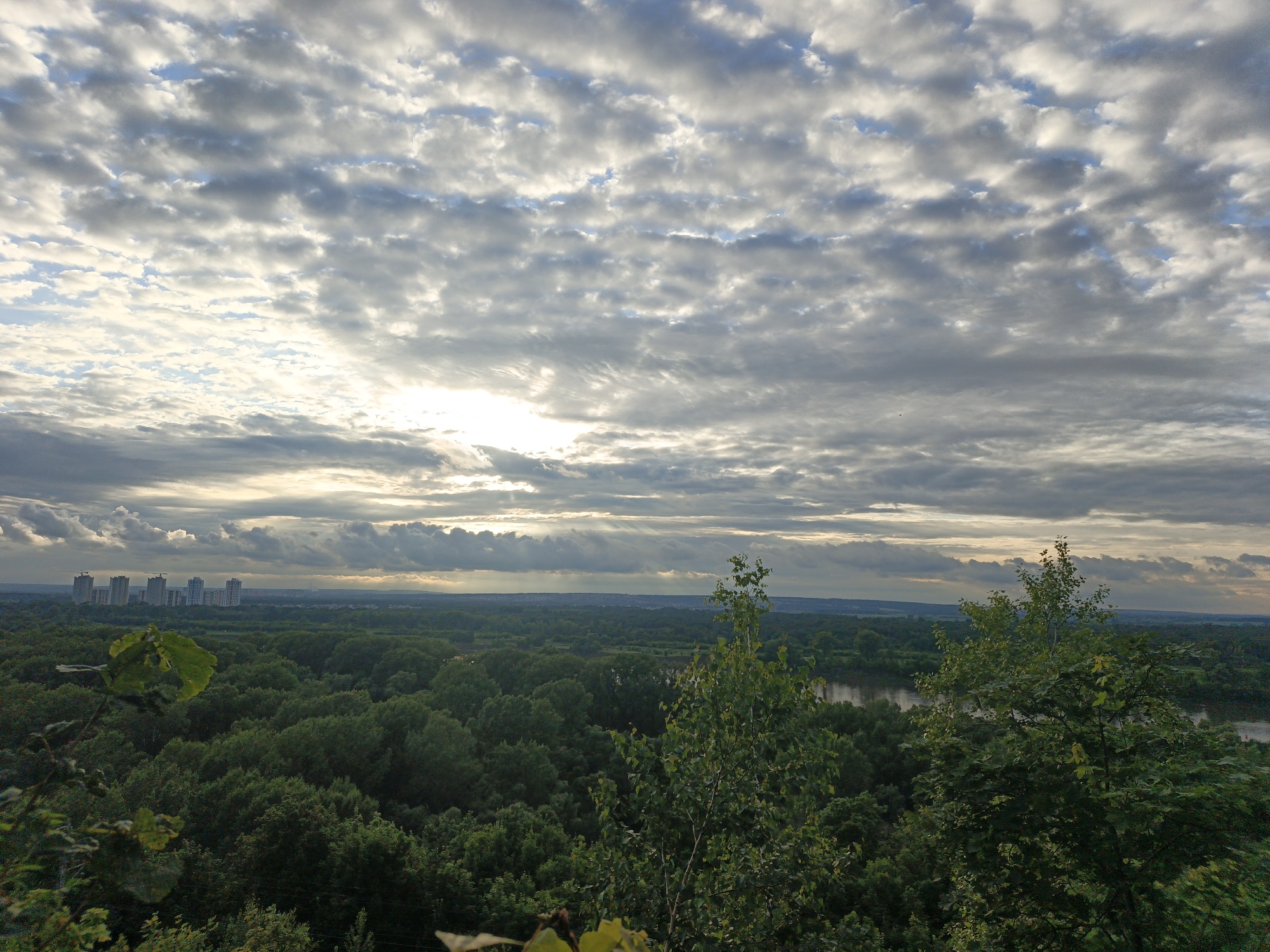 This is a wide-angle landscape photograph taken from an elevated vantage point, looking out over a dense forest towards a distant cityscape and a cloudy sky. The scene depicts a natural setting juxtaposed with urban development.
In the foreground, lush green trees dominate the frame, with some foliage in sharp focus and other parts of the forest rendered with softer detail. The trees are varied in shade and texture, suggesting a diverse woodland. Towards the left, a large green leaf is prominently displayed, catching the light.
Beyond the immediate forest, the landscape opens up to reveal a wide expanse of trees stretching to the horizon. A body of water, likely a river, is visible in the middle ground on the right side of the image. In the distance, a cluster of modern high-rise buildings stands out against the tree line, indicating a city.
The sky is filled with a dramatic array of clouds. Shafts of sunlight break through the overcast conditions, creating a dynamic and slightly moody atmosphere. The clouds are varied in thickness and color, ranging from bright white where the sun hits them to darker grays in shadowed areas. The lighting suggests either early morning or late afternoon, with the sun low in the sky.
There is no visible text in the image. The overall mood is one of natural beauty and the expansive view, with a hint of the encroaching urban environment. The scene appears to be set in Ufa, Russia, as indicated by the location context.