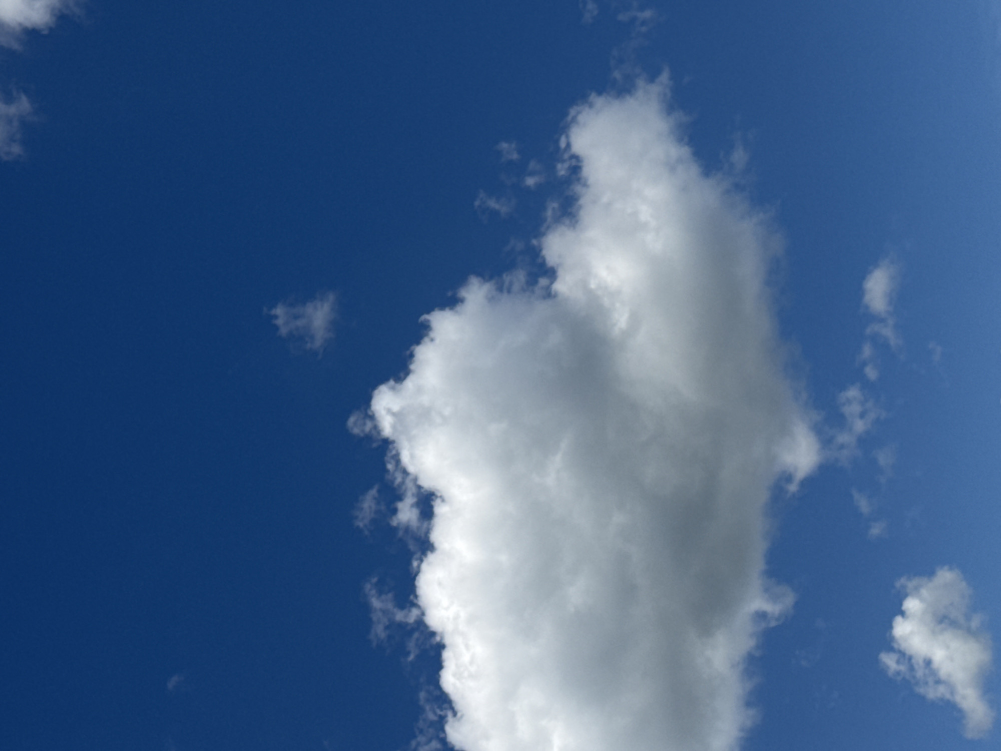 This media file is a photograph of a bright blue sky with scattered white clouds. The primary subject is the sky itself, with a large, fluffy cumulus cloud dominating the right side of the frame. Smaller, wispy clouds are visible in other parts of the sky. The image appears to have been taken on a clear day, likely during daylight hours given the brightness of the sky and the vivid white of the clouds. There are no people or man-made objects visible, creating a sense of openness and natural beauty. The lighting suggests the sun is shining brightly, illuminating the edges of the clouds. The composition is simple, focusing on the interplay between the deep blue of the sky and the textured white of the clouds. No text is visible in the image.