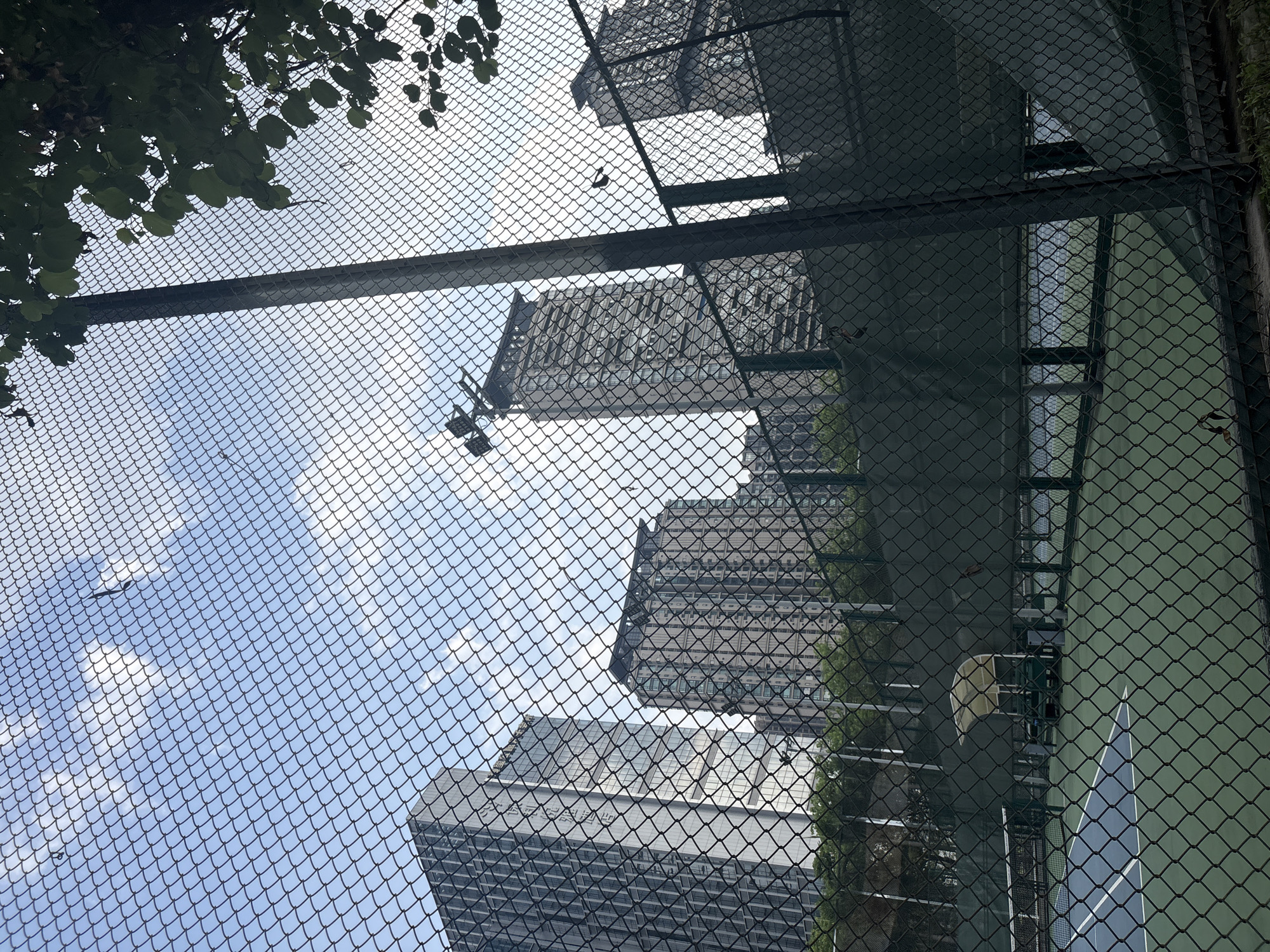This is a low-angle, outdoor photograph looking up towards a cloudy sky and several tall, modern buildings. A chain-link fence with a dark green coating is in the foreground, obscuring parts of the view. Some leafy branches from a tree are visible in the upper left corner. The buildings appear to be office or residential towers, characterized by their geometric designs and large windows. One building has a facade with repeating vertical elements, while another, further in the background, has a more textured, grid-like exterior. The sky is a pale blue with scattered white clouds, suggesting it is daytime. There is no clear indication of any specific activity or event taking place, but the overall scene depicts an urban environment. The lighting suggests it is not direct sunlight, perhaps a slightly overcast day. The setting appears to be in a city, possibly a business or commercial district, given the scale of the architecture. No text is legible in the image. The perspective from below the fence and looking upwards creates a sense of looking out from a confined space into a vast, open sky and city.