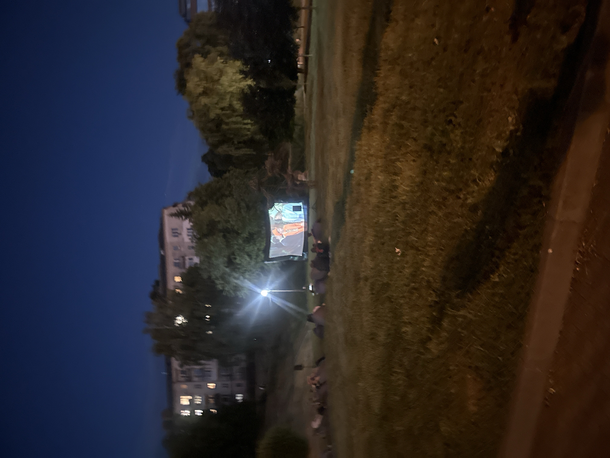 The image captures an outdoor movie screening at dusk in Ternopil, Ukraine. A group of people are seated on a grassy area, facing a large screen displaying a colorful image, likely a movie or presentation. The sky is a deep blue, indicating the transition from daylight to night. To the left of the screen, a tall apartment building with illuminated windows is visible, suggesting an urban or semi-urban setting. Trees surround the area, casting shadows and adding to the evening ambiance. A lamppost with a bright light stands near the screen, illuminating the immediate surroundings. The overall mood appears relaxed and communal, with individuals gathering to enjoy an evening entertainment event. The weather seems to be clear, conducive for an outdoor activity.