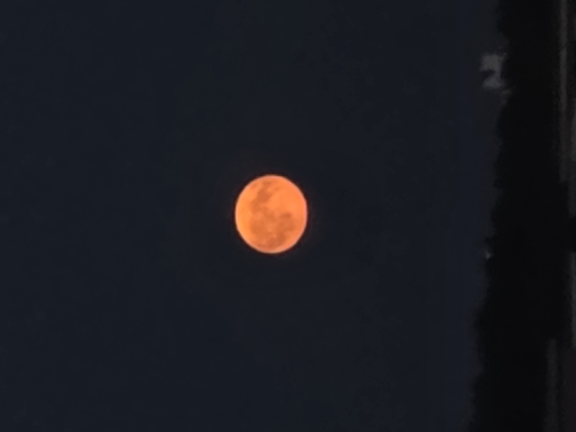 A full, orange moon is visible in a dark night sky, centered in the frame. Below the moon, silhouetted against the lighter horizon, is a dark, jagged line of trees. The sky is a deep navy blue. The image appears to be a photograph taken at night.