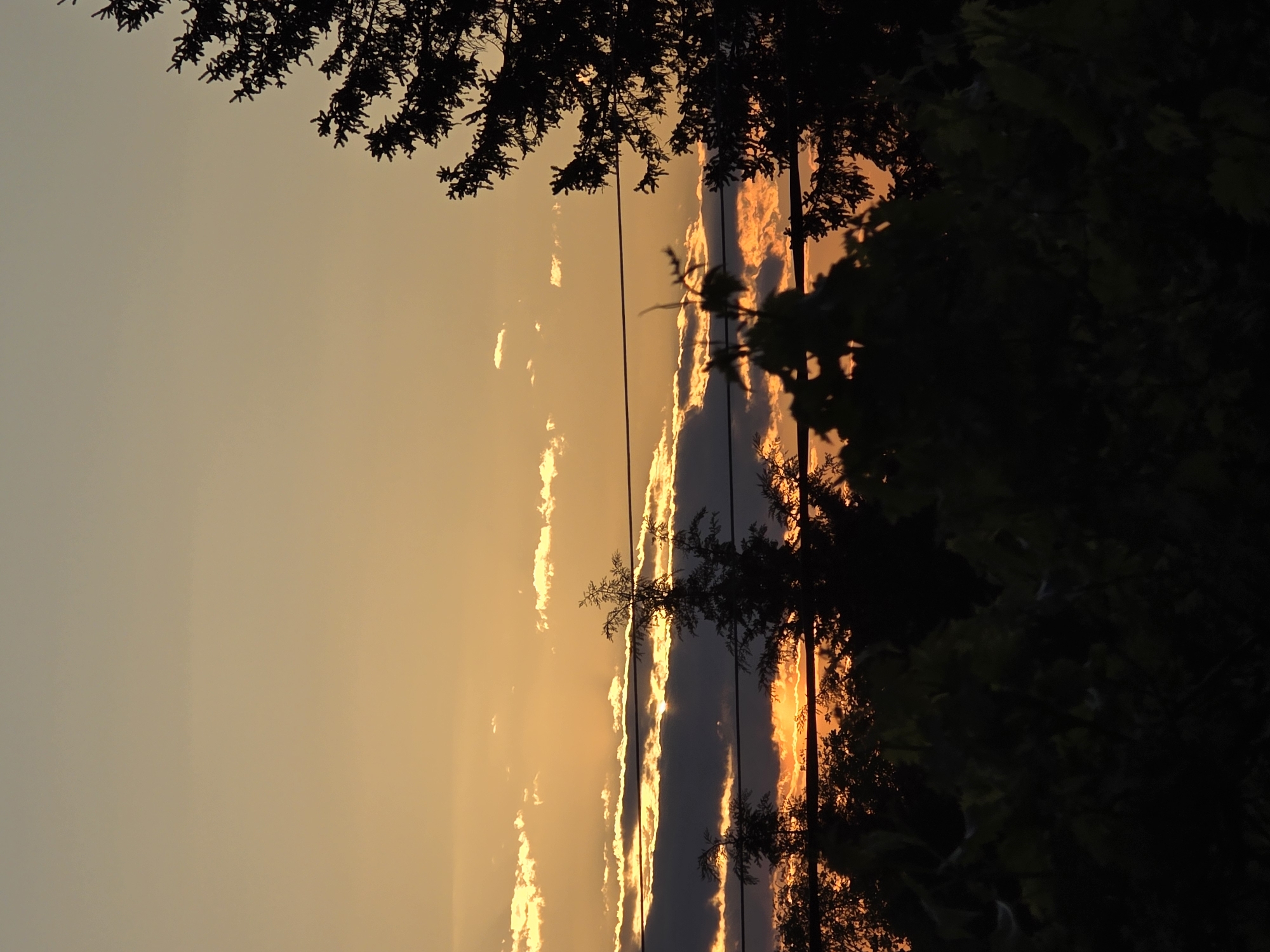 The image depicts a sunset sky viewed from a location in or near Yagodovo, Bulgaria. The sky exhibits a gradient of yellow and orange hues, likely indicative of the sun near the horizon. Silhouetted tree branches are visible at the top and right of the frame, obscuring some of the sky. Power lines run vertically through the center of the image. Clouds are also present, reflecting the colors of the sunset. The overall scene evokes a sense of calm and nature at the end of the day.