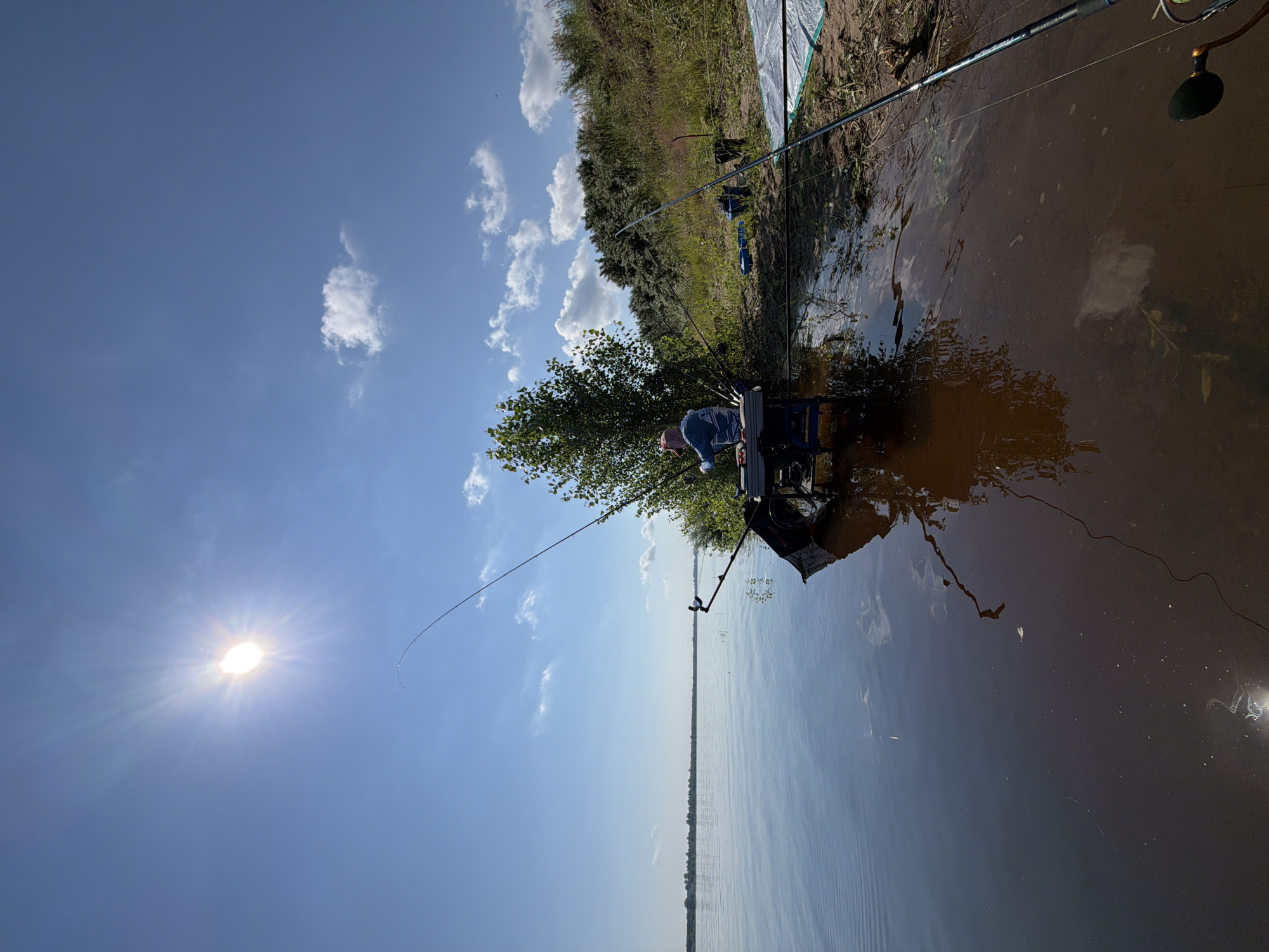A person is fishing on the bank of a wide river under a bright sun and a clear blue sky with scattered clouds. The person is seated on a blue fishing seat with a black net beside it. Several fishing rods are set up. The riverbank is covered with dry grass and a few bushes. A white tarp is spread out on the ground to the right of the fishing setup. The water is calm and reflects the sky and surrounding environment. The sun is high in the sky, casting a strong glare. The location is identified as Tarasovo, Russia.