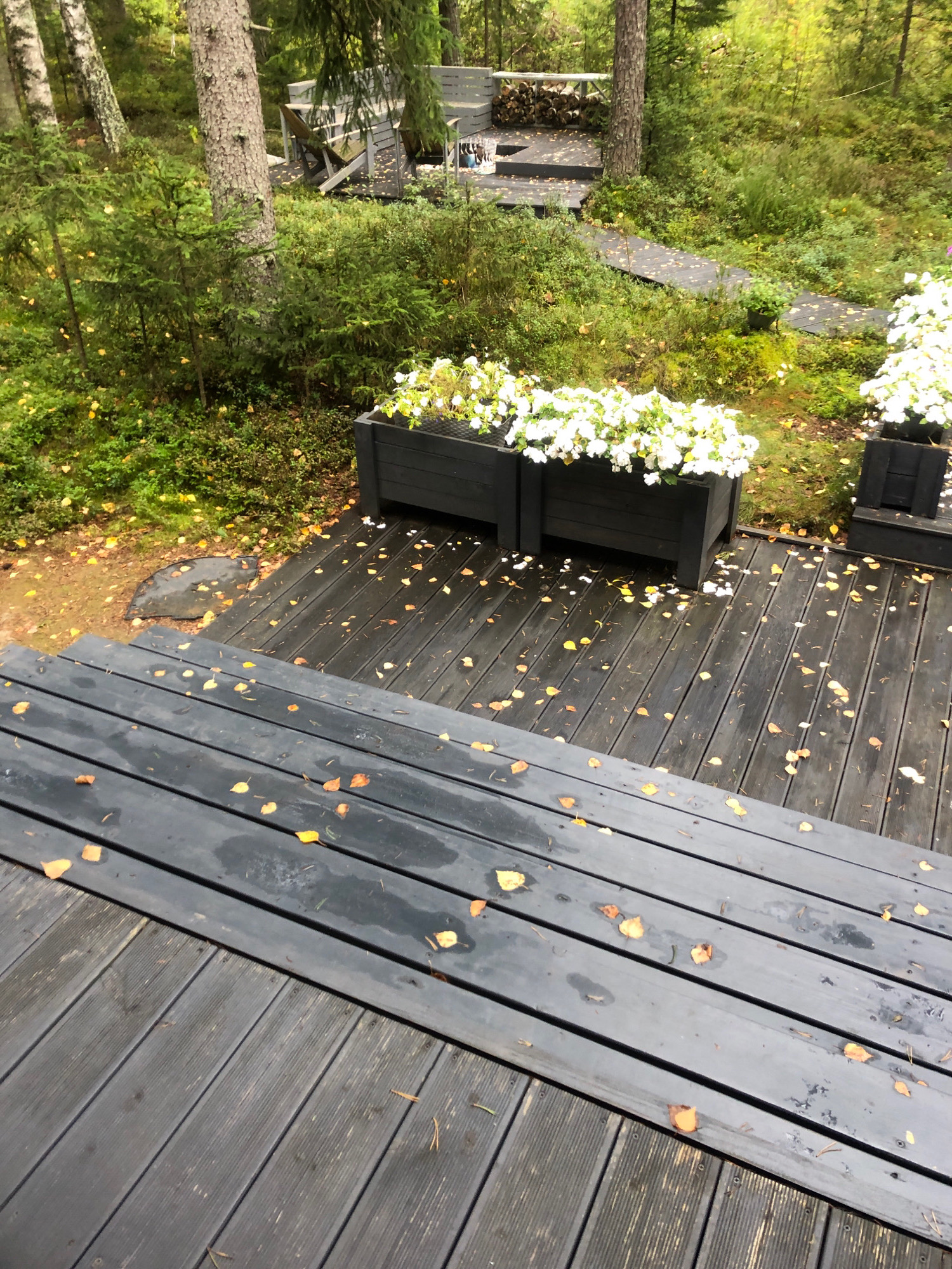 A low-angle, full outdoor shot captures a dark-wood deck scattered with fallen yellow and orange leaves, suggesting an autumn setting. The deck appears wet. In the background, a walkway made of similar dark material winds through a dense, green forest with tall trees and undergrowth. The forest floor is also dotted with fallen leaves. On the deck, two dark, rectangular planters filled with lush white flowers are positioned near the edge. A wooden structure with stacked logs and outdoor seating is visible further back in the wooded area. No people are present in the image. The scene is likely a private outdoor space adjacent to a forest, potentially a backyard or a communal area in a wooded region. It is not possible to determine the specific location within Arfa, Russia from this image.