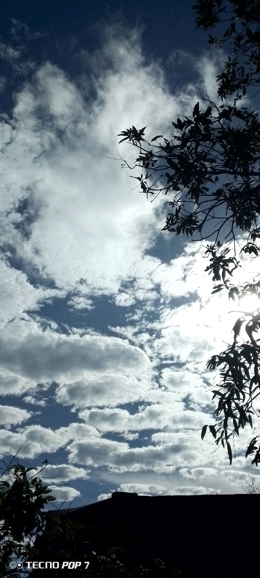 The image shows a view of the sky with clouds, foliage, and the silhouette of a building, possibly a house. The clouds are white and puffy, with patches of blue sky visible in between. There is a tree branch with leaves obscuring the upper right of the image, and some foliage near the bottom, creating a natural frame. The silhouette of the building is at the bottom center. The image was taken on a TECNO POP 7. The location is Altagracia, Venezuela.