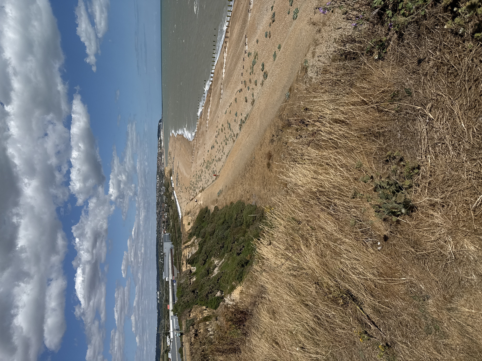 This is a vertical, eye-level, wide shot of a pebble beach leading to the sea under a partly cloudy sky. The foreground is dominated by dry, brown grass and sparse green vegetation. A steep, vegetated cliff face, covered in green bushes, slopes down to the right from the left edge of the frame. A sandy path runs along the base of the cliff. Beyond the path is the pebble beach, with scattered green plants. Rows of wooden groynes are visible on the beach, extending into the choppy, grey-green sea. In the distance, a line of white buildings sits on the coast, and further along the coastline, a white cliff is visible. The sky is blue with large, fluffy white clouds. The scene appears to be from the town of Bexhill-on-Sea, East Sussex, England, which is part of the Rother district of the United Kingdom. There are at least two individuals visible on the beach in the middle ground, one wearing red and walking along the path at the edge of the beach, and another further up the beach. A person and a dog are visible on a path at the top of the cliff on the left side of the frame.