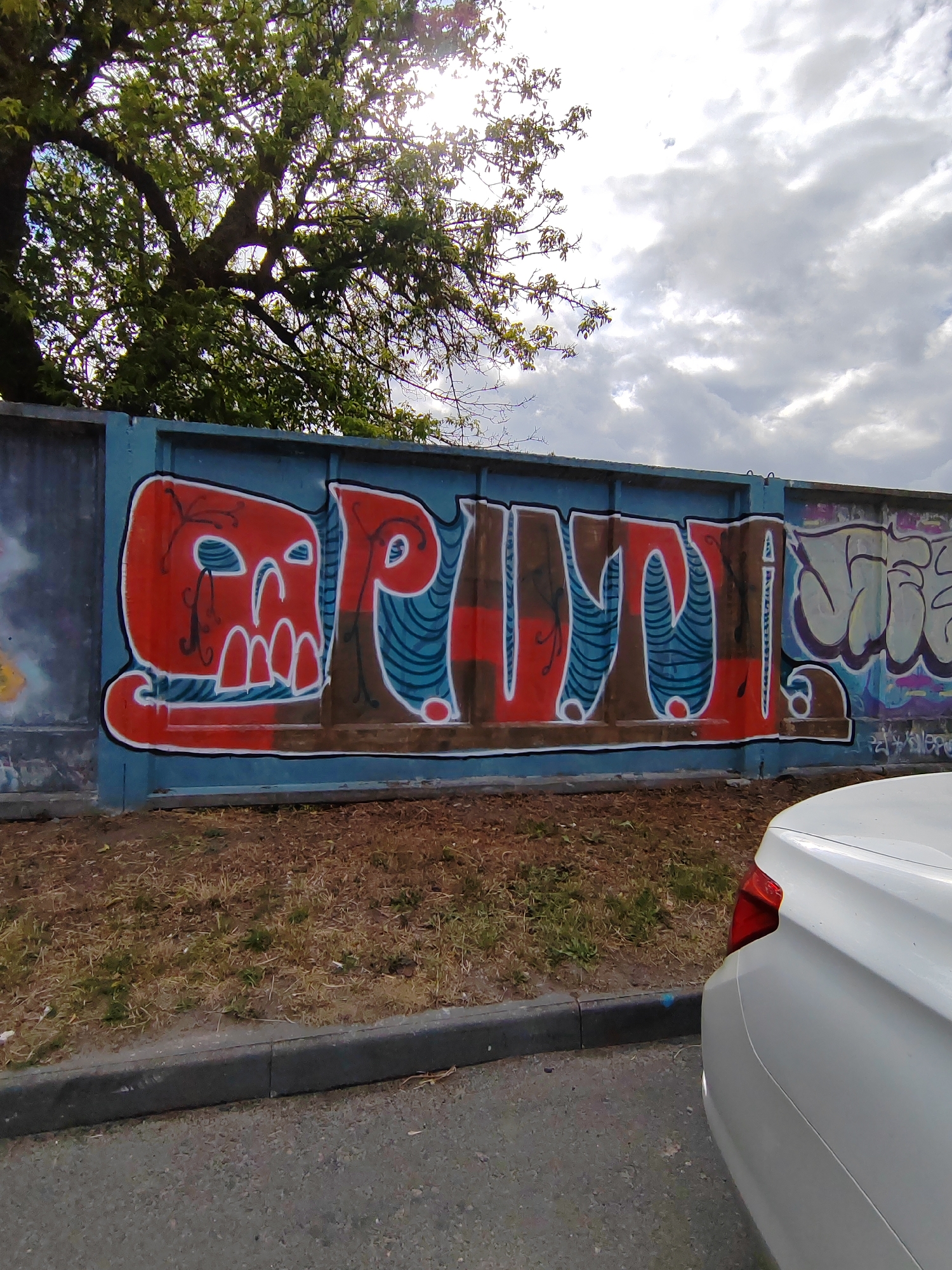 A photograph taken outdoors on a cloudy day shows a section of a blue concrete fence that has been graffitied. The graffiti features stylized letters in red and brown with blue and white outlines and accents. To the left of the main graffiti, there is a red and white skull-like design. The fence is backed by a dry, grassy area with some trees visible in the background, their leaves illuminated by sunlight breaking through the clouds. A white car is partially visible in the foreground on the right side of the image, its rear taillight red. The foreground shows an asphalt road with a concrete curb separating it from the grassy area. The graffiti appears to be on an outdoor wall or barrier in an urban setting, possibly a street in Brest, Belarus, given the context. The overall scene depicts urban decay or street art in a public space.