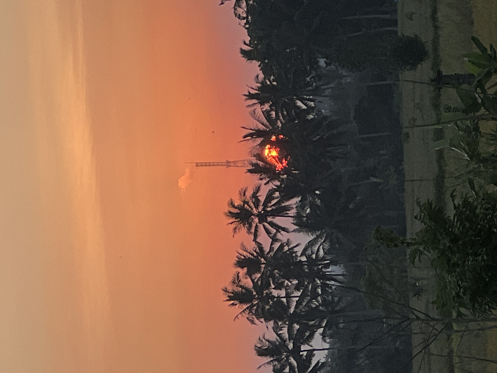 The image depicts a sunset in the Ubud District of Indonesia. The sky is a gradient of orange hues. Silhouetted palm trees are clustered on the right side of the frame, with the sun appearing through their fronds. A tall communication tower is visible on the left. Vegetation is also on the right side of the frame.