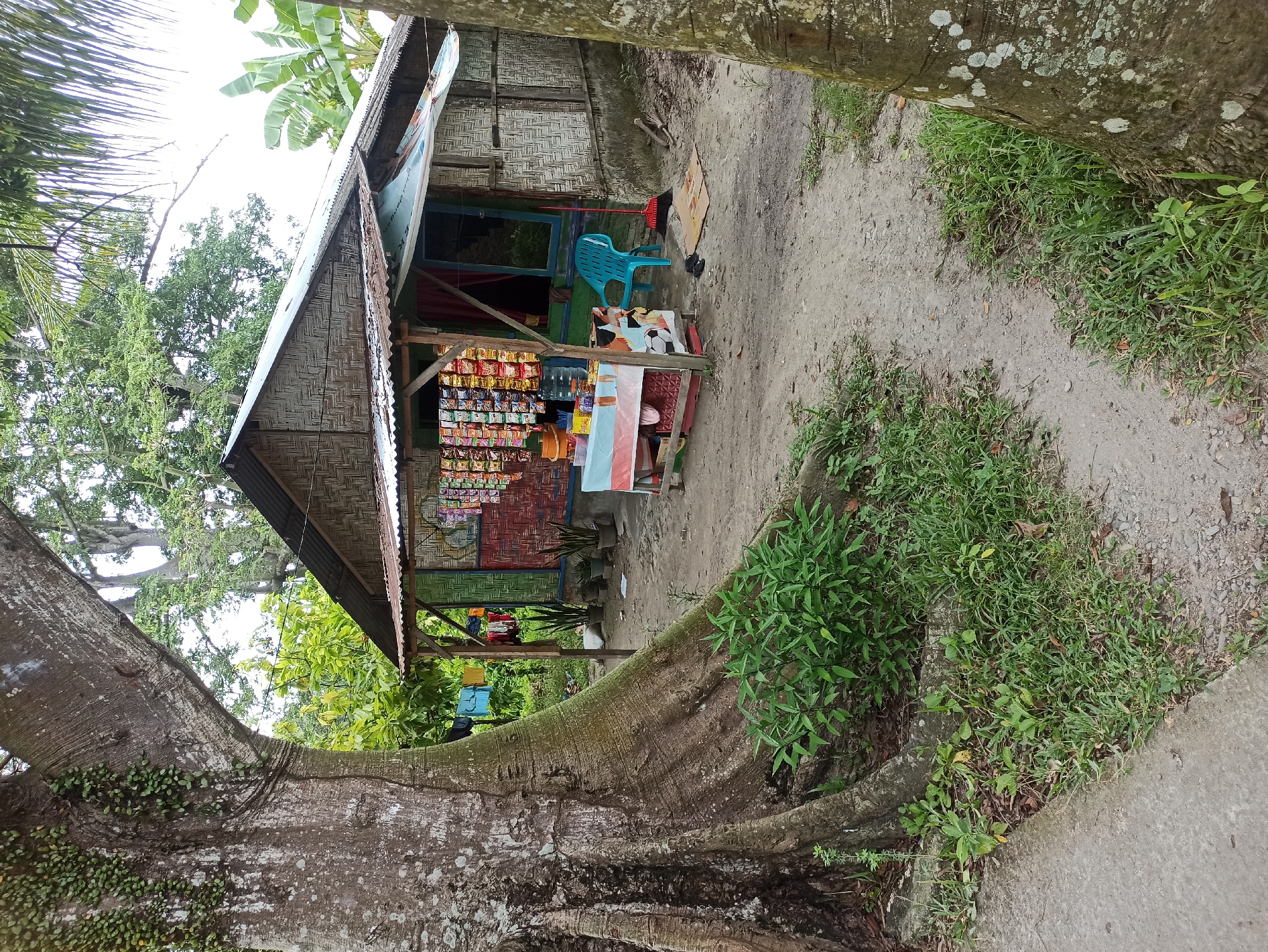 In the city of Medan, Indonesia, an outdoor stall is set up in front of a small, bamboo-walled building with a corrugated metal roof. The stall displays an assortment of bagged snacks and drinks. To the left of the stall, a large tree with exposed roots dominates the foreground. A pathway, made of dirt and gravel, leads away from the stall and winds through lush green vegetation. A blue plastic chair and a red broom are positioned near the stall. Laundry is hanging on a clothesline behind the building.