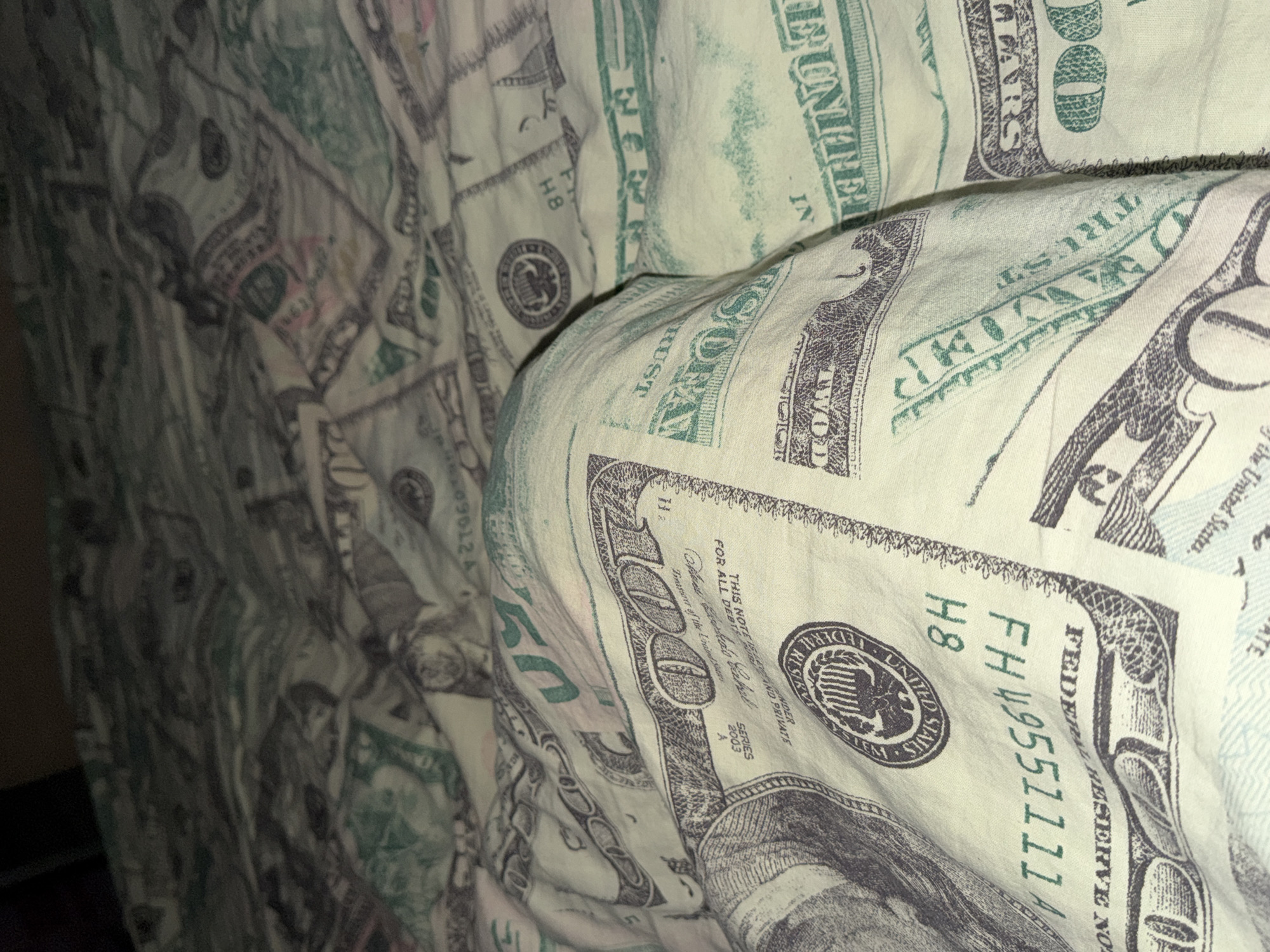 The image shows a close-up of a bedspread printed with a pattern resembling United States currency. The dominant elements are depictions of one hundred-dollar bills, recognizable by the numerical "100" and phrases like "FEDERAL RESERVE NOTE." The fabric is crumpled, indicating it's in use as a bed covering. The image does not show any information about location in the city of Noviy, Russia.