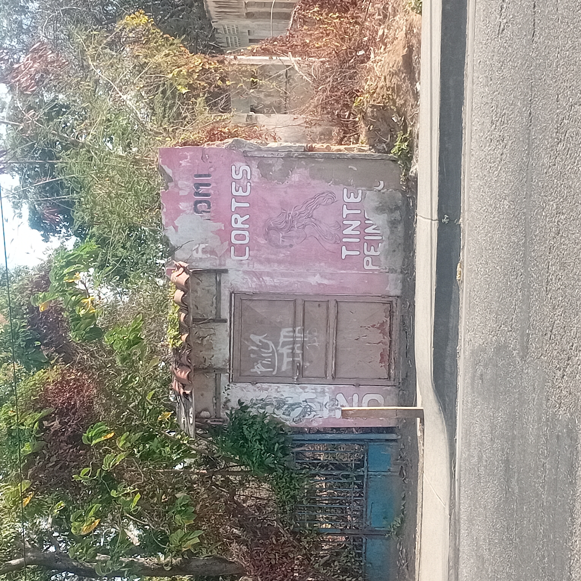 A small, dilapidated structure stands on the edge of a road. The structure has faded pink paint with words in Spanish ("CORTES", "TINTE", "PEIN"). The structure has a door. There is overgrown foliage partially obscuring the structure and a gate behind it. It is located in Unknown, Unknown.